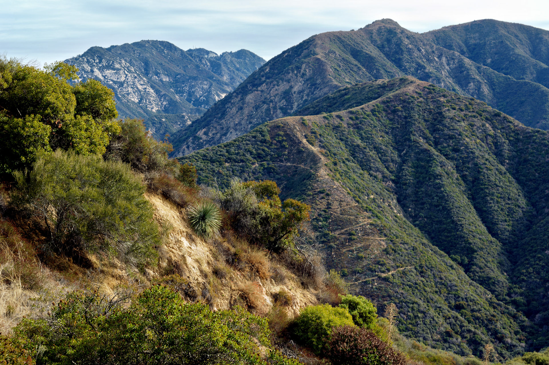 CA_LA_20051220_0226_PS