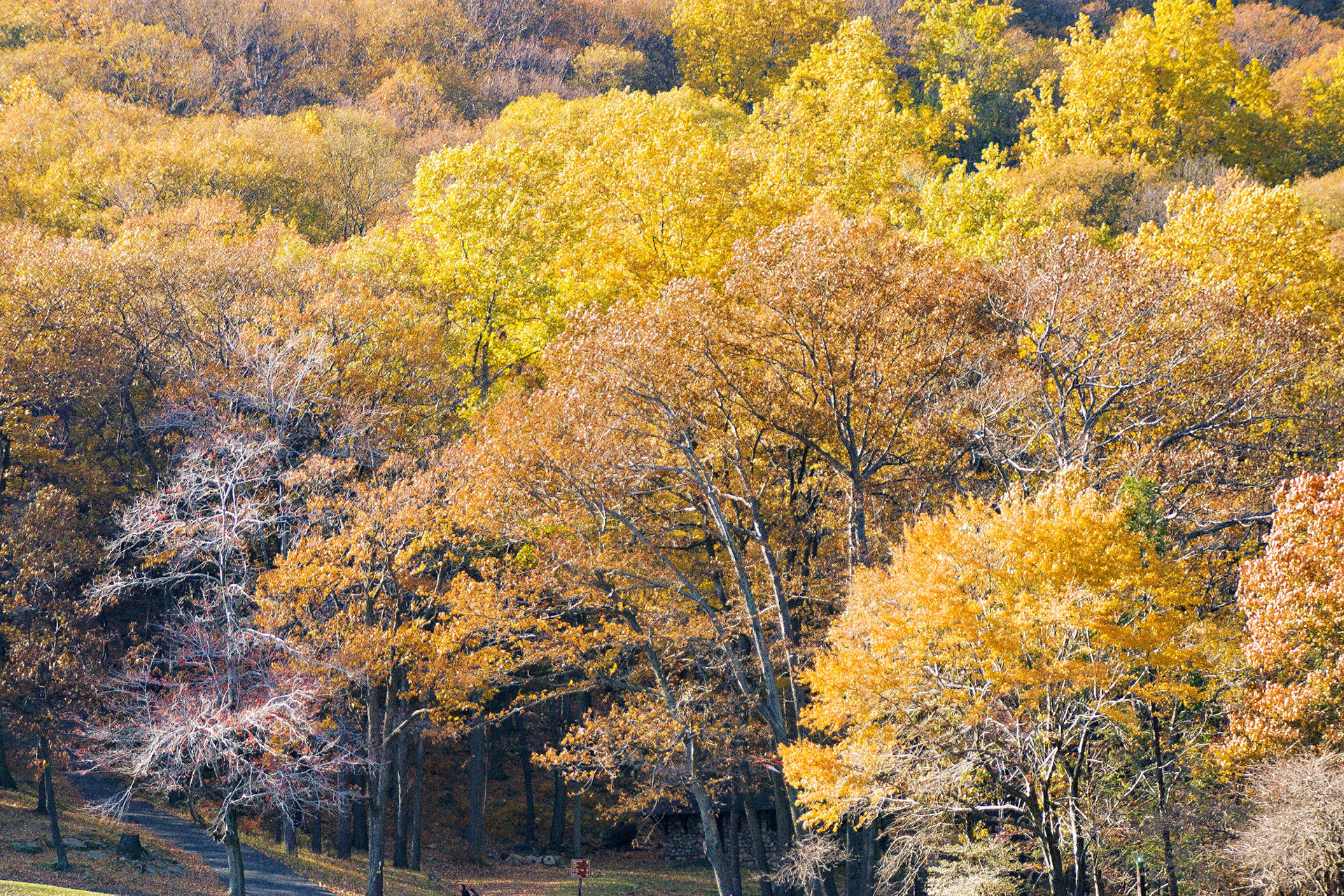 Fall