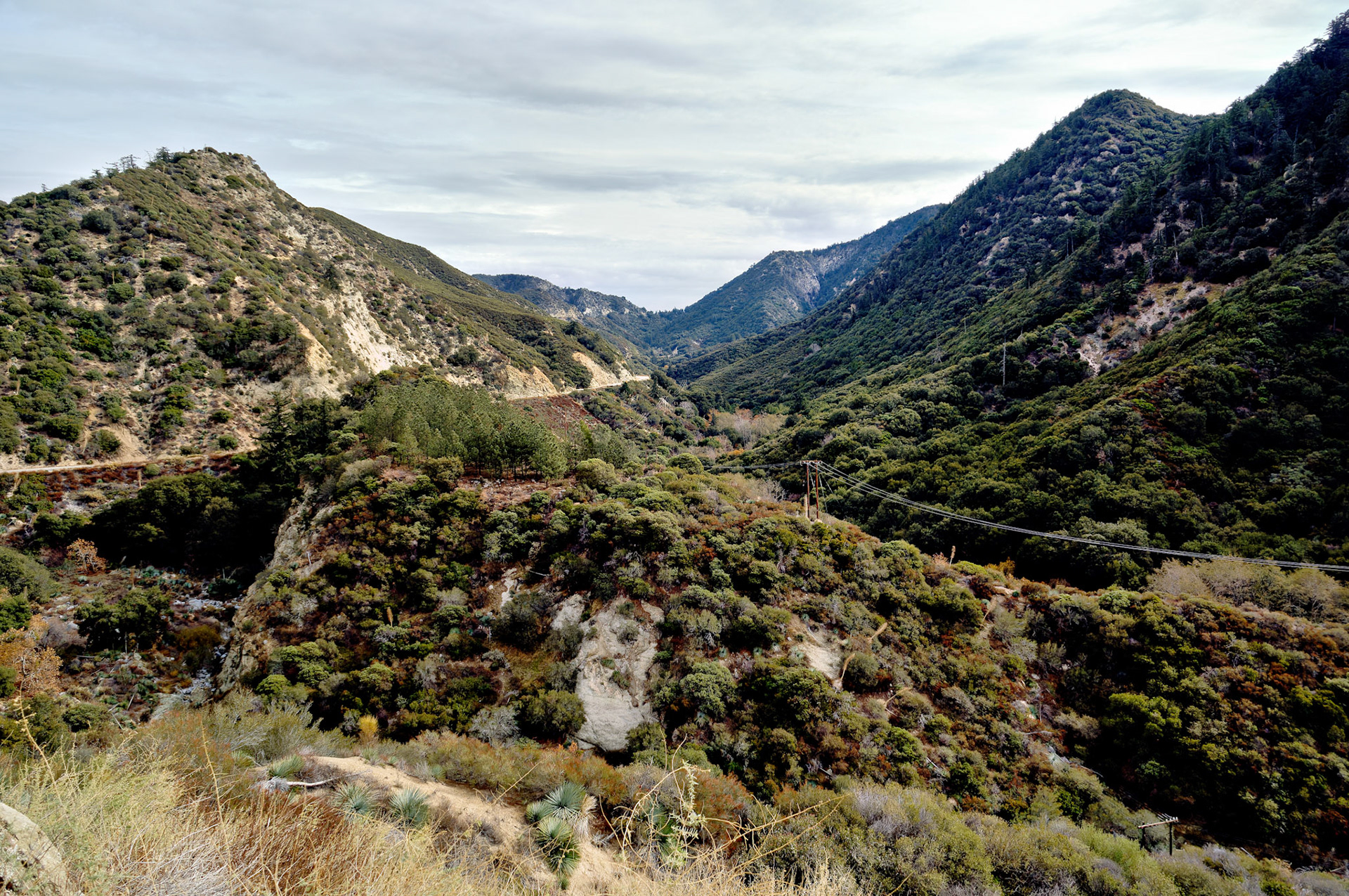 CA_LA_20051220_0257_PS