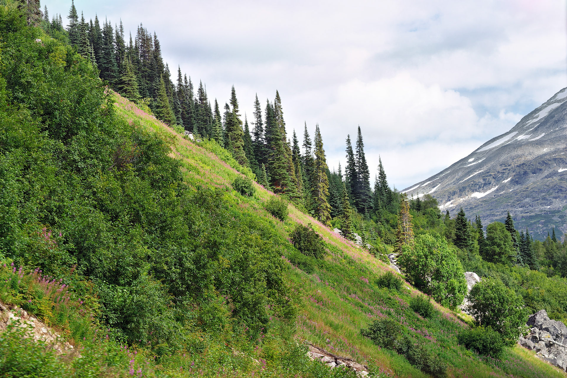 AK_20030801_0329_PS