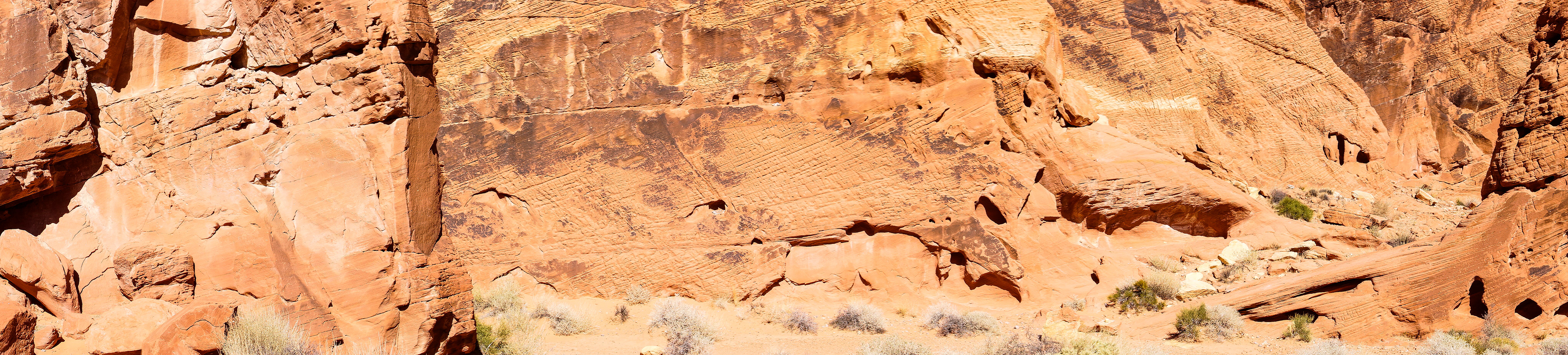 NV_Deserts_20120313_0144_PS