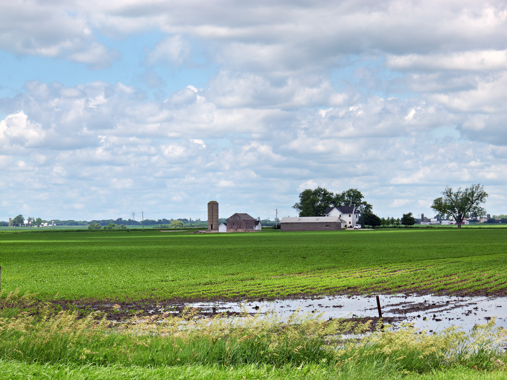 IL_20100616_0346_PS