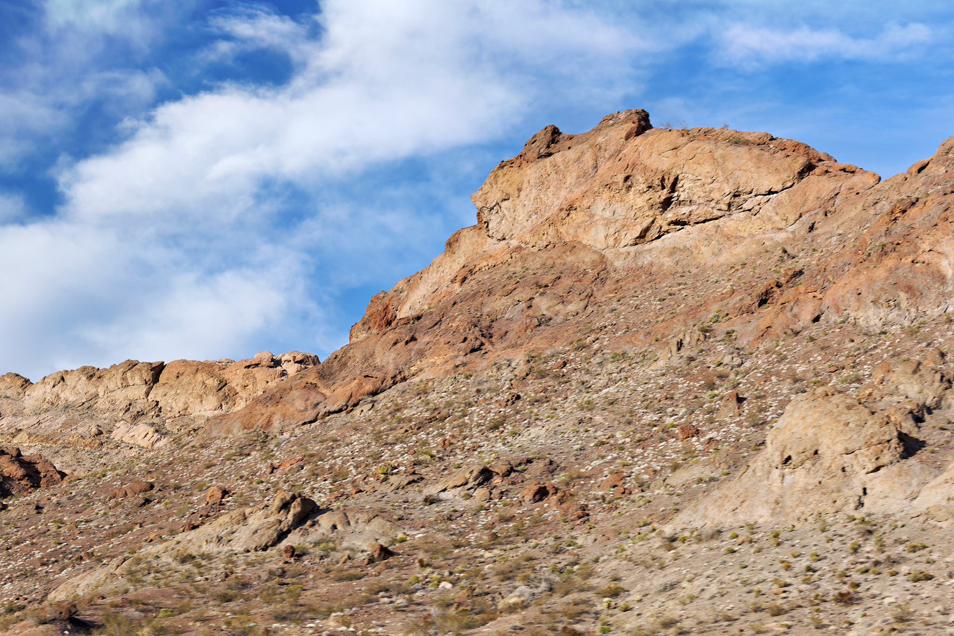 NV_Deserts_20120314_0351_PS