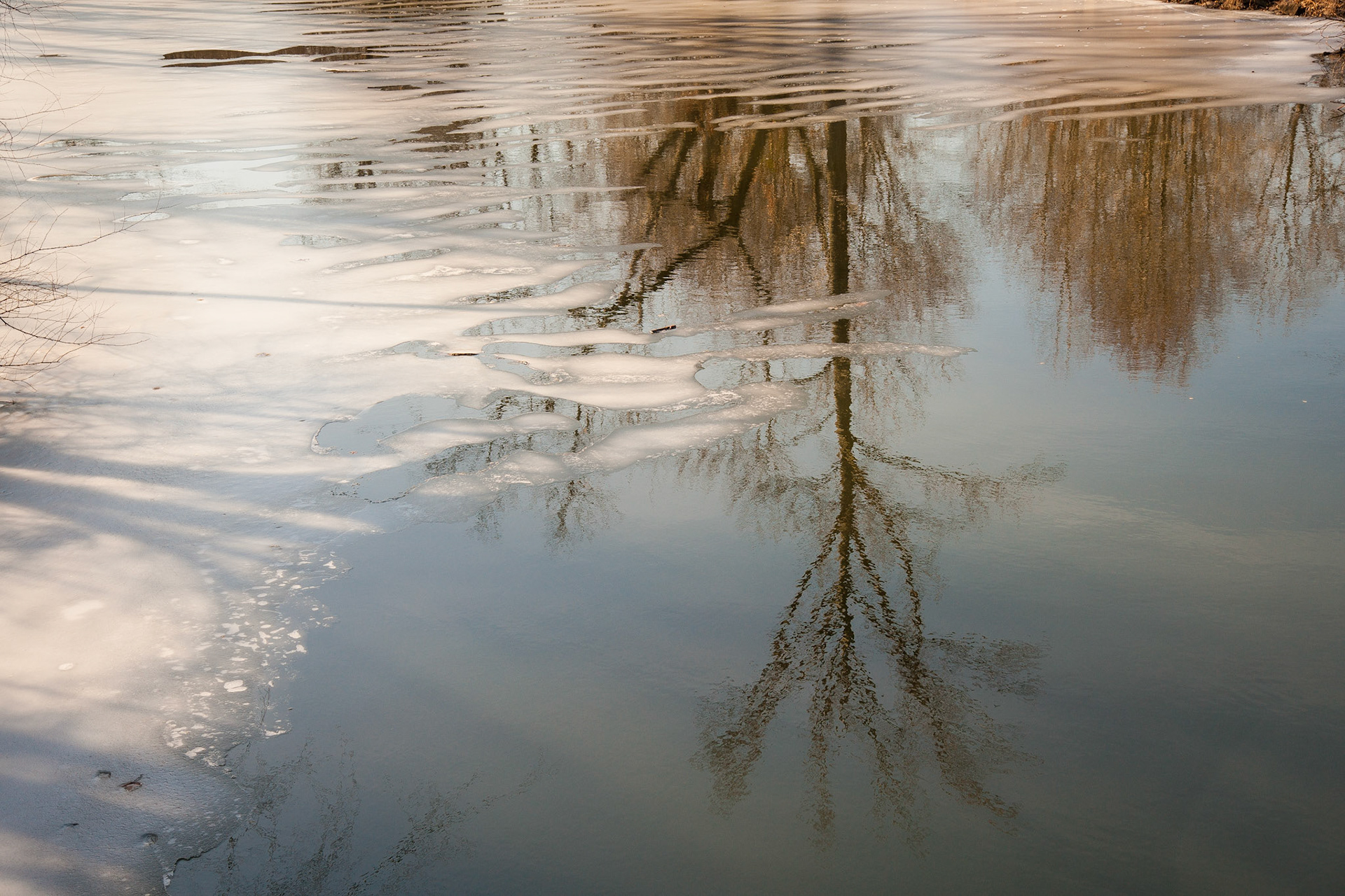 Reflections