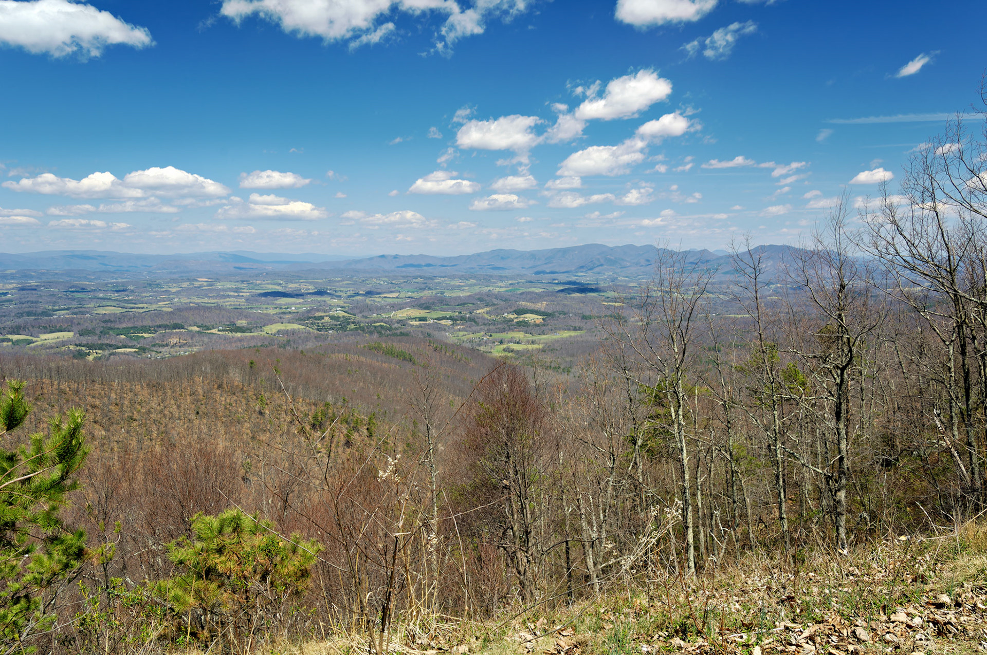VA_BlueRidge_20060405_0064_PS