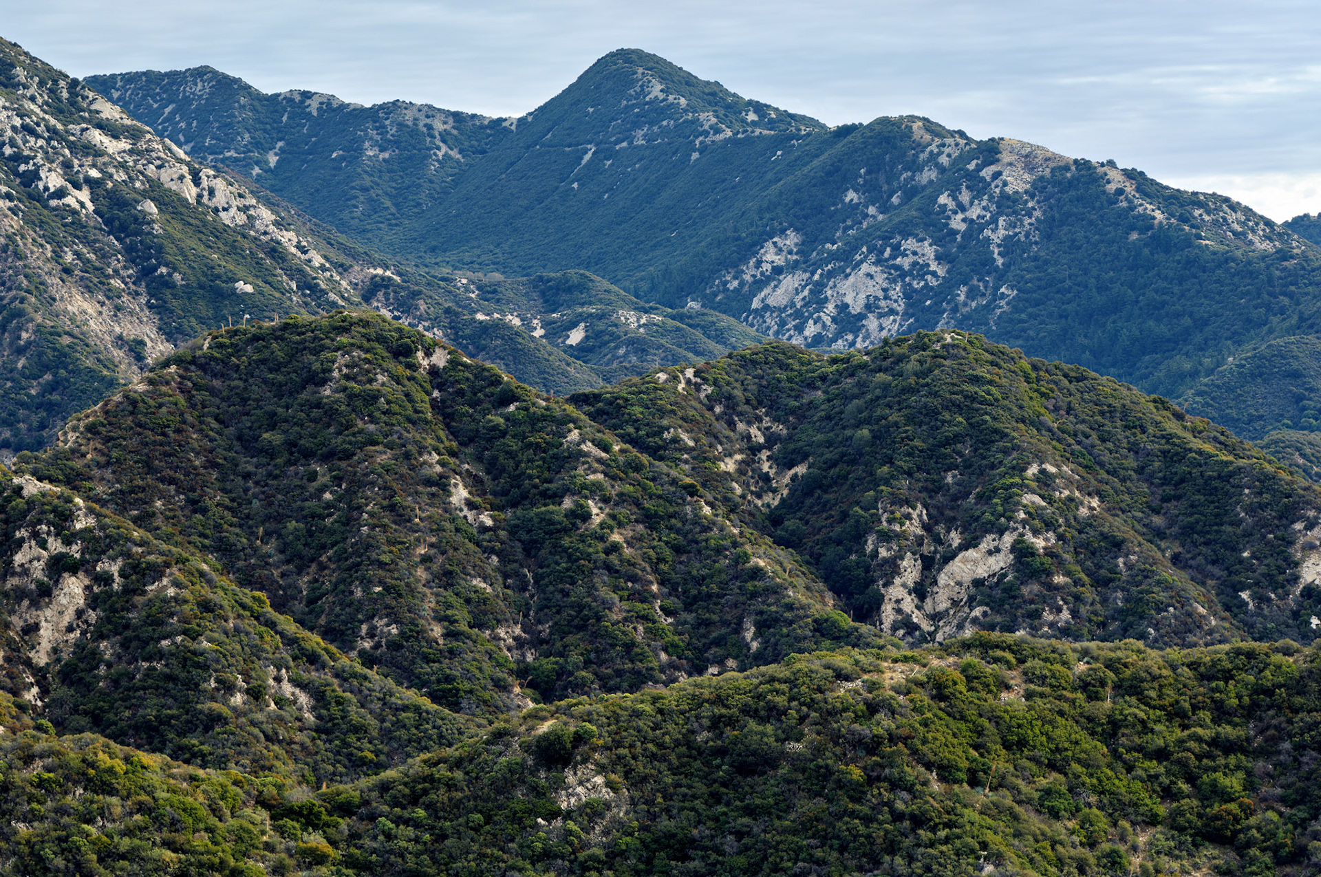 CA_LA_20051220_0246_PS