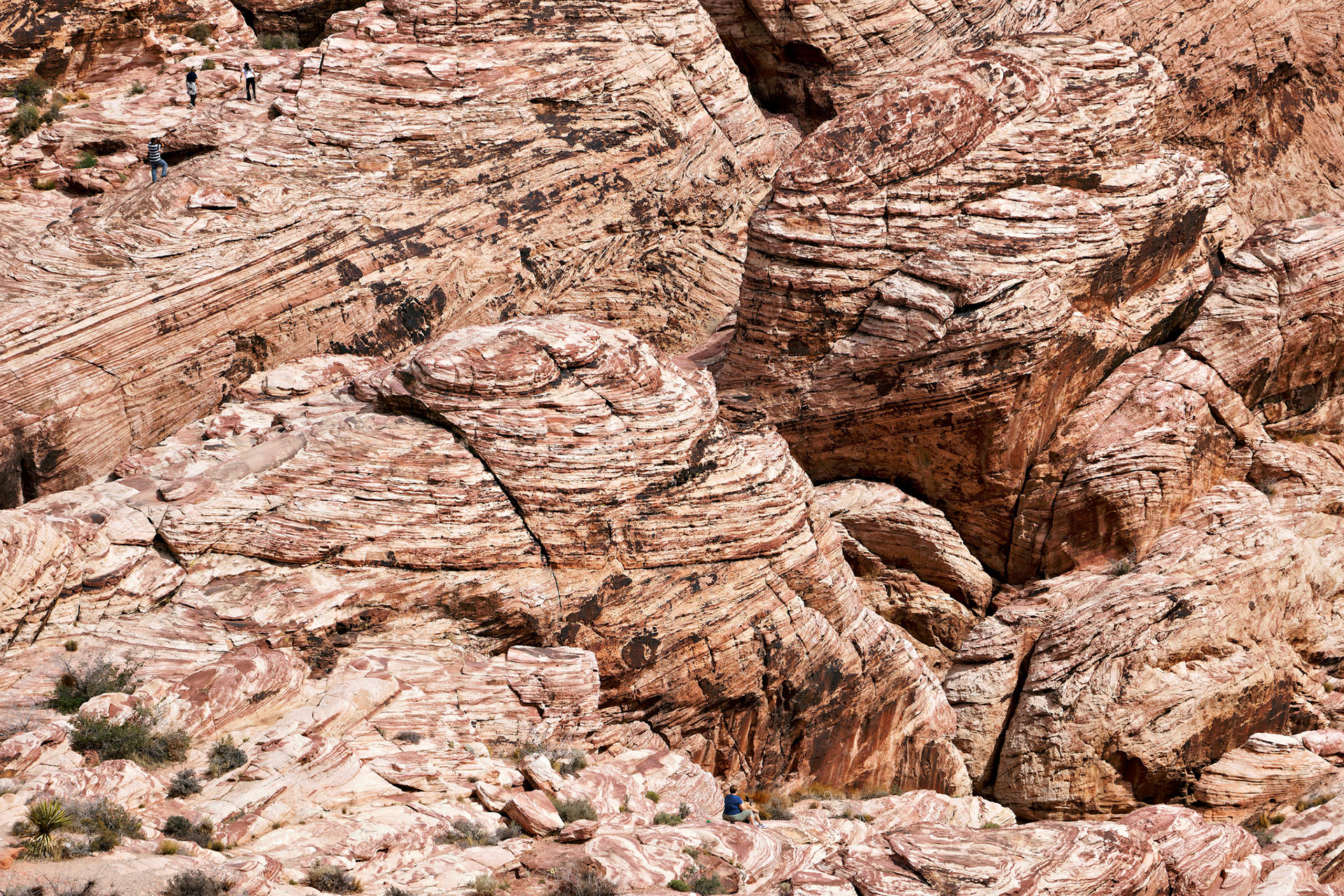 NV_Deserts_20120312_0043_PS.tif