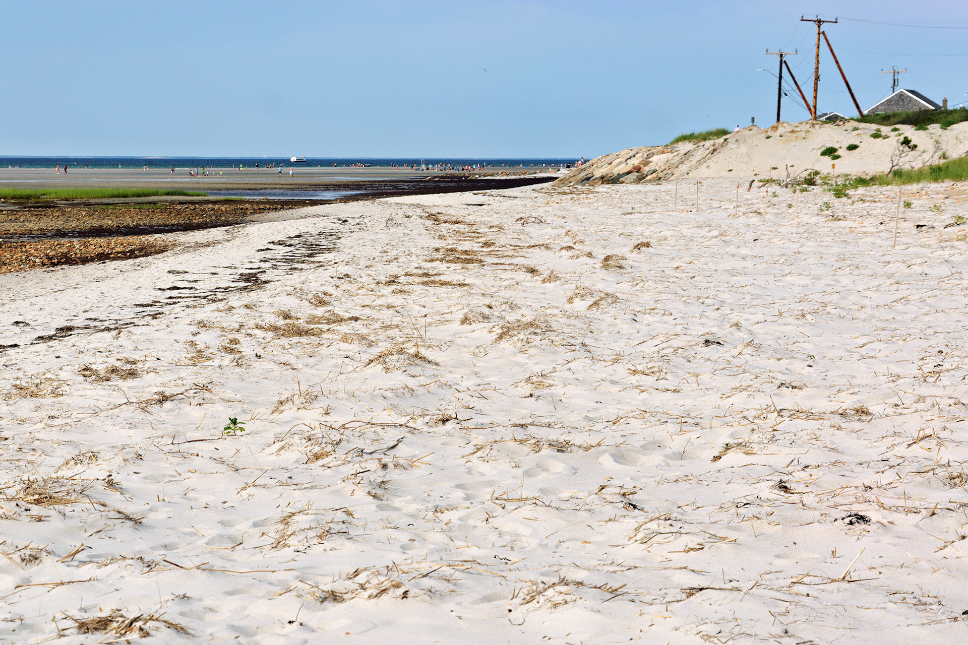 MA_CapeCod_20150717_0210_PS