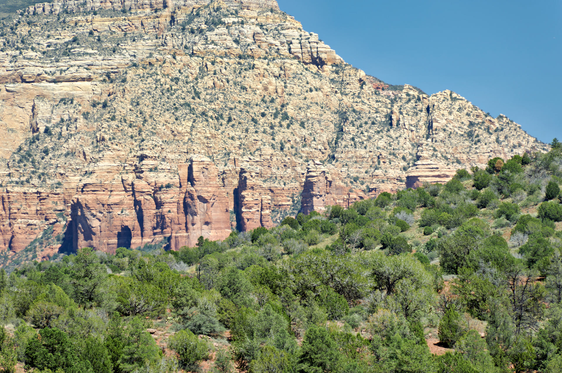 AZ_20060917_0066_PS.dng