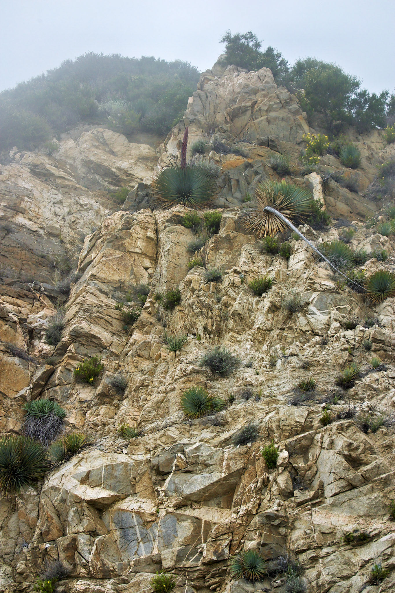 CA_LA_20030514_0026_PS