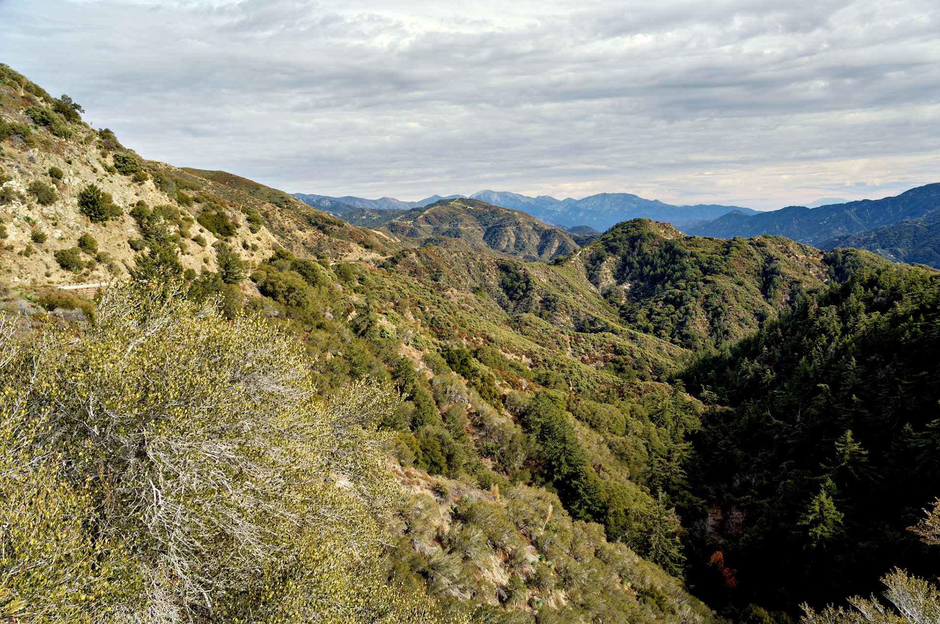 CA_LA_20051220_0282_PS