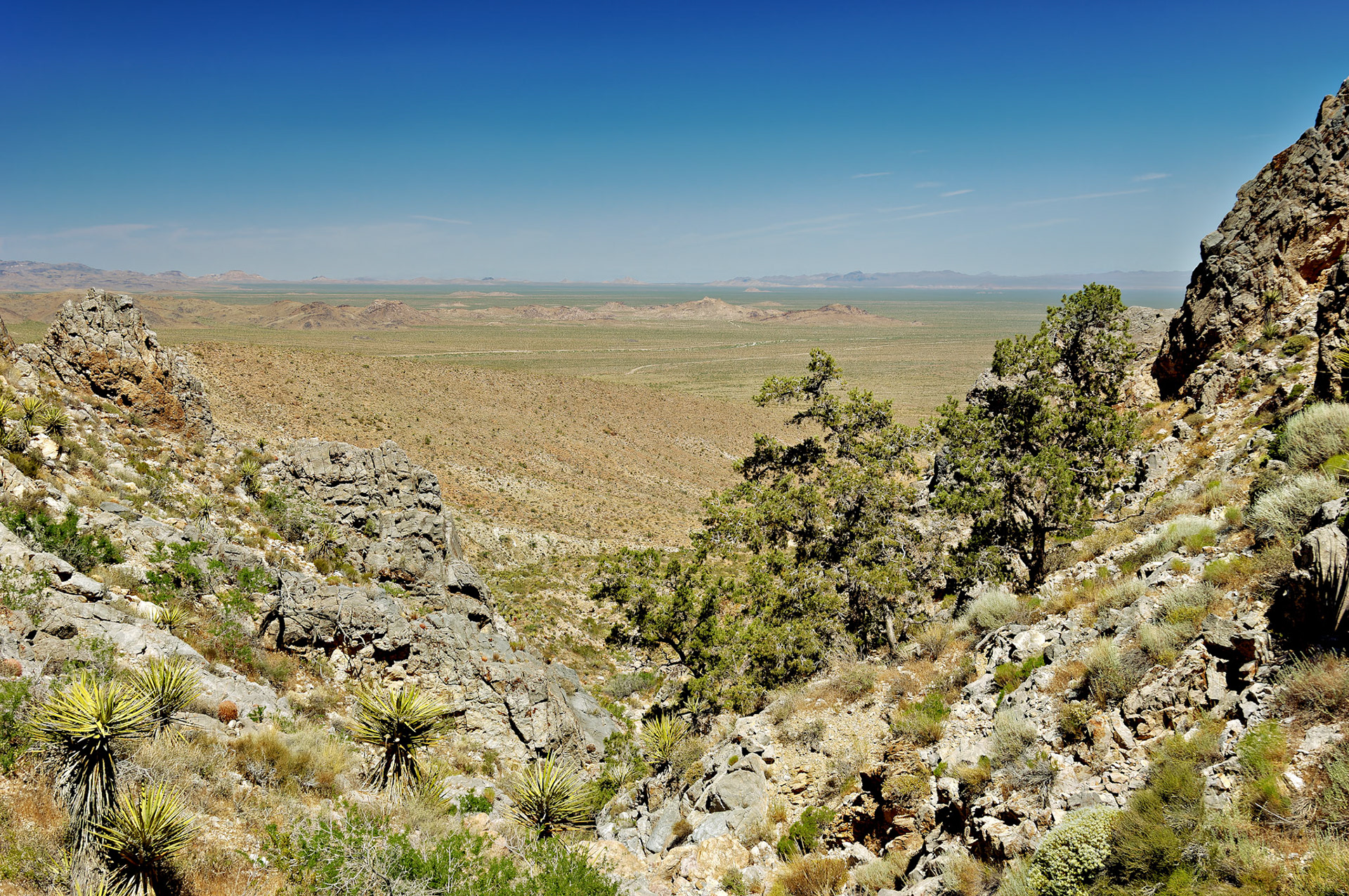 CA_20050614_0126_PS