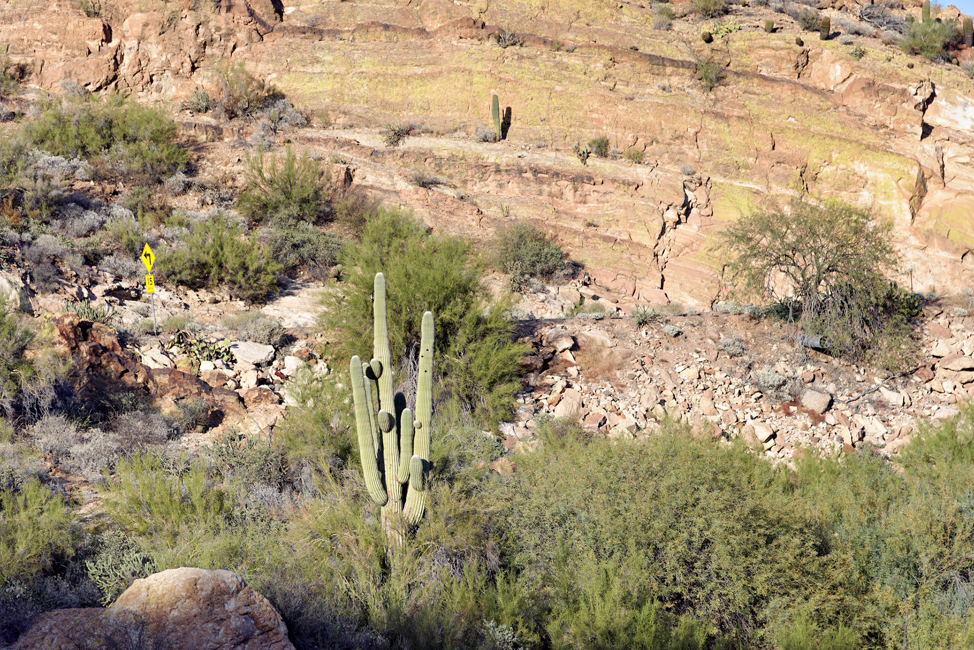 AZ_20121209_0178_PS