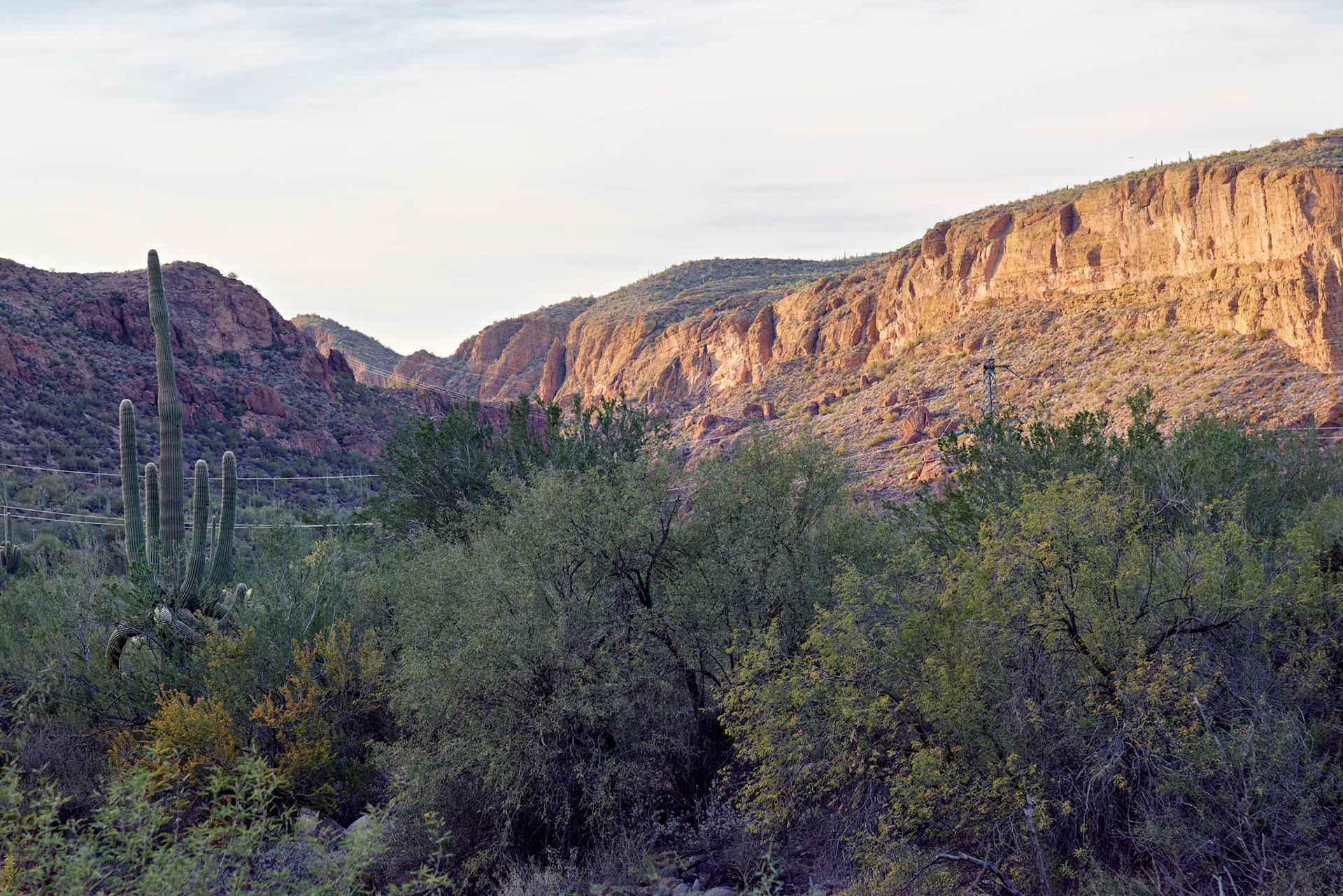 AZ_20121209_0217_PS.dng