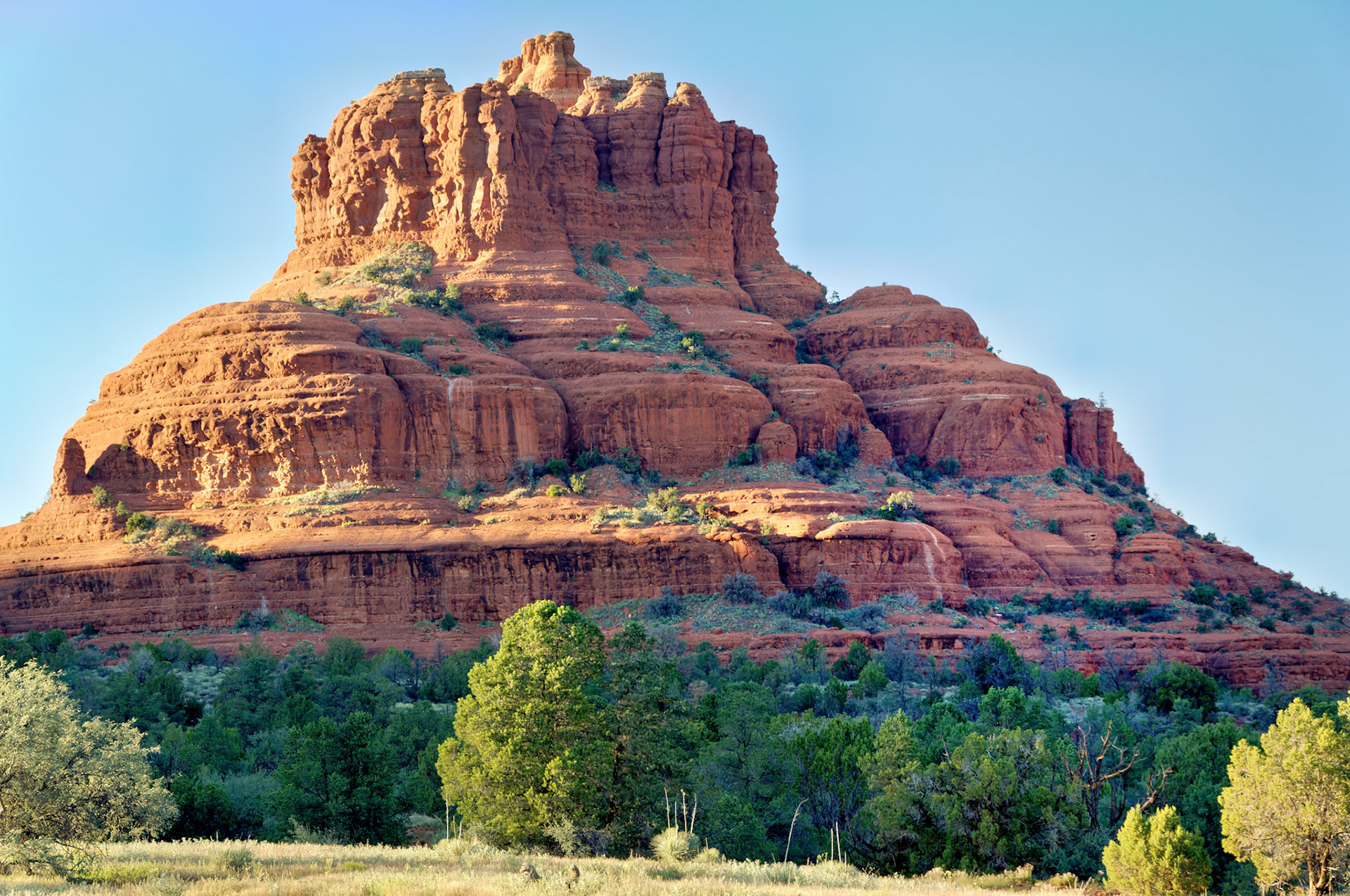 AZ_20060917_0140_PS.dng