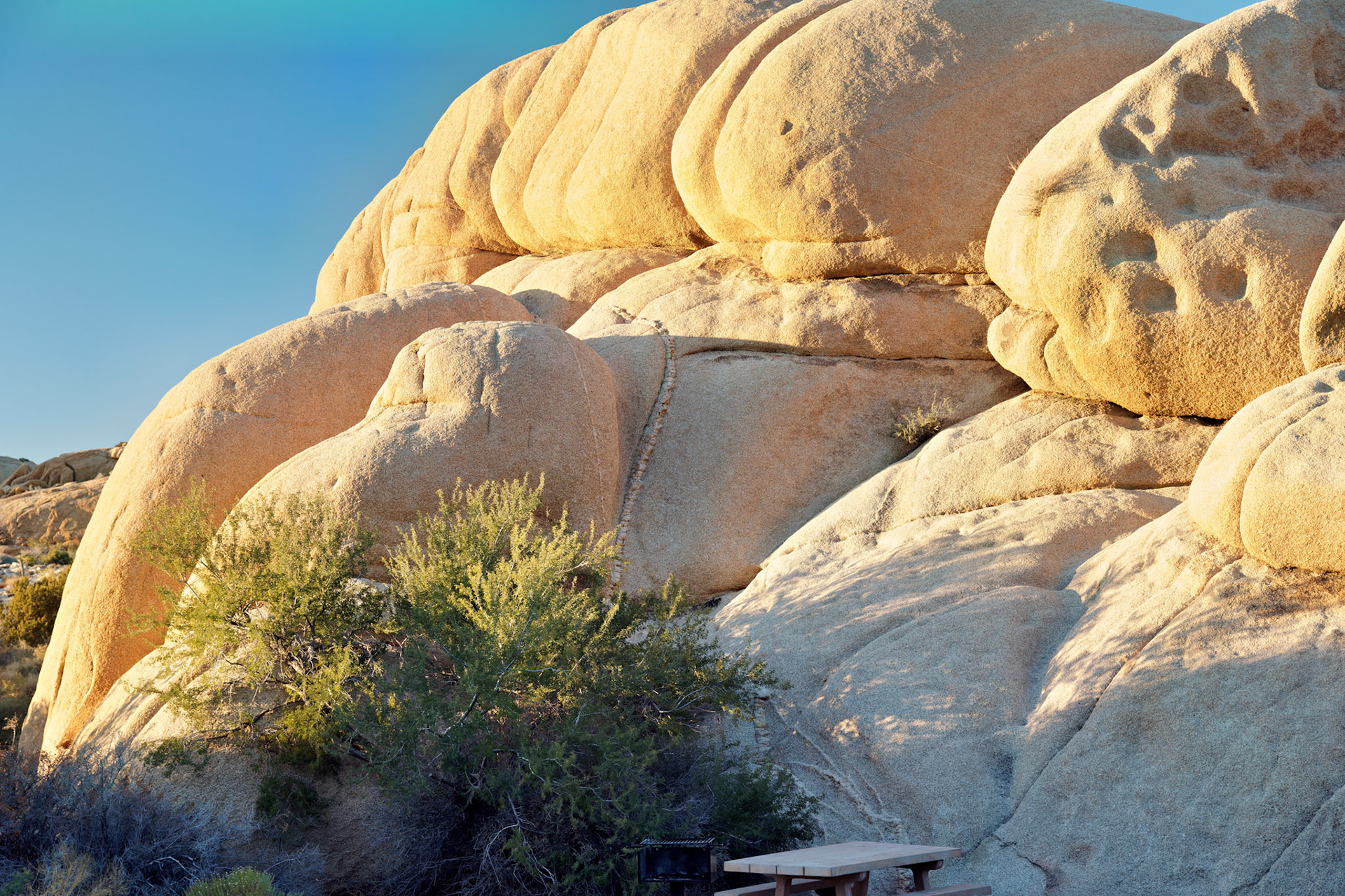 CA_JoshuaTree_20111114_0277_PS