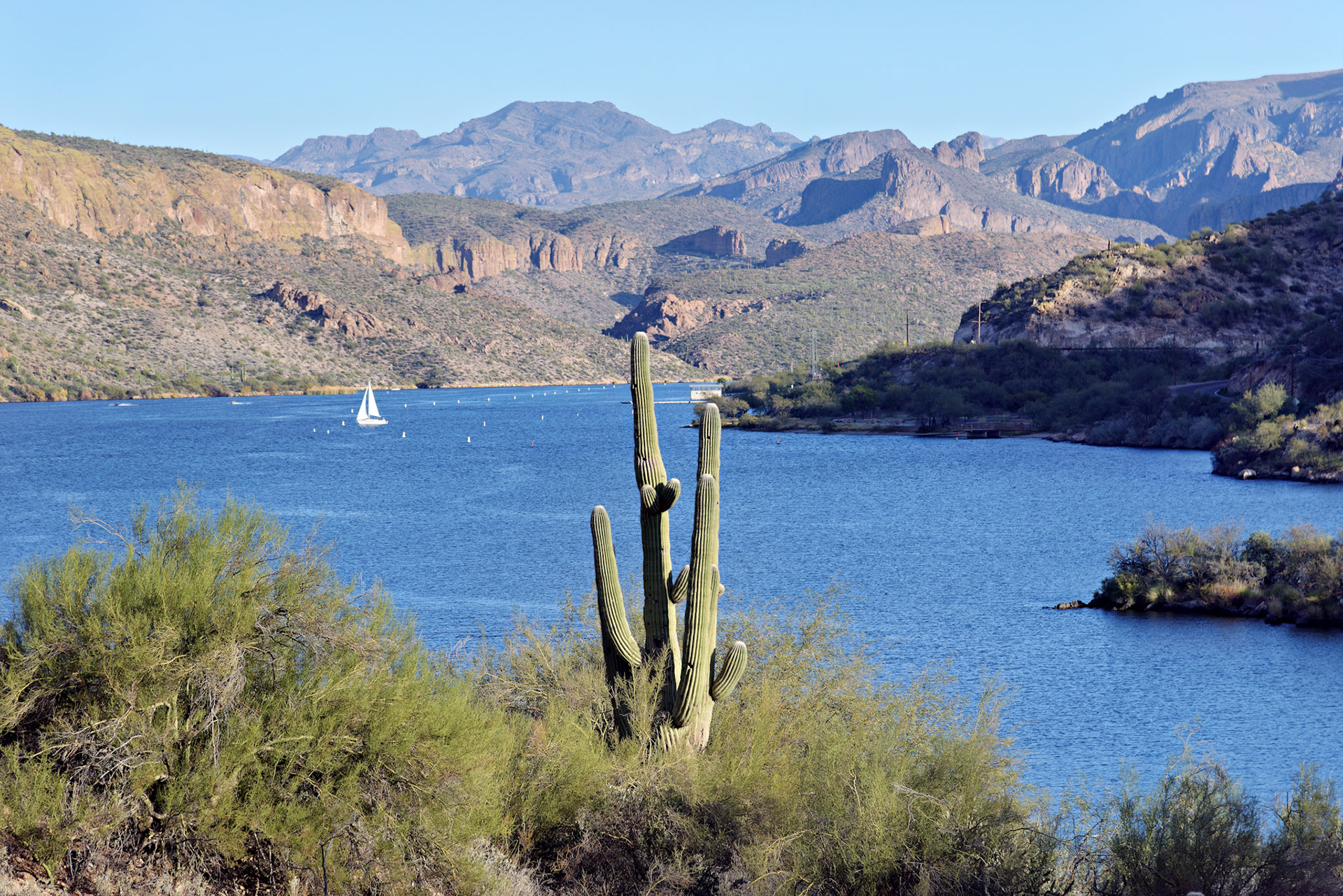 AZ_20121209_0182_PS.dng