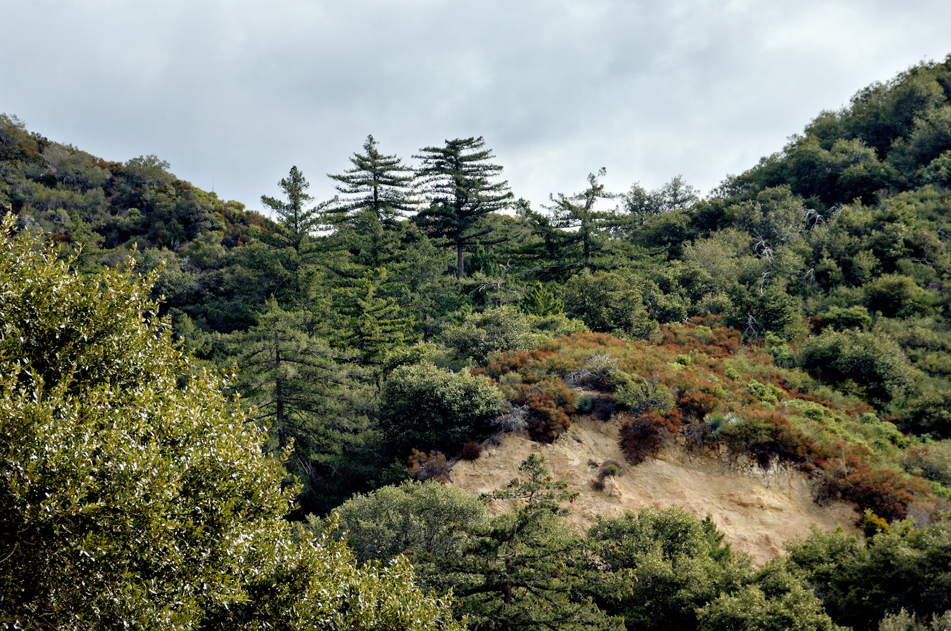 CA_LA_20051220_0270_PS