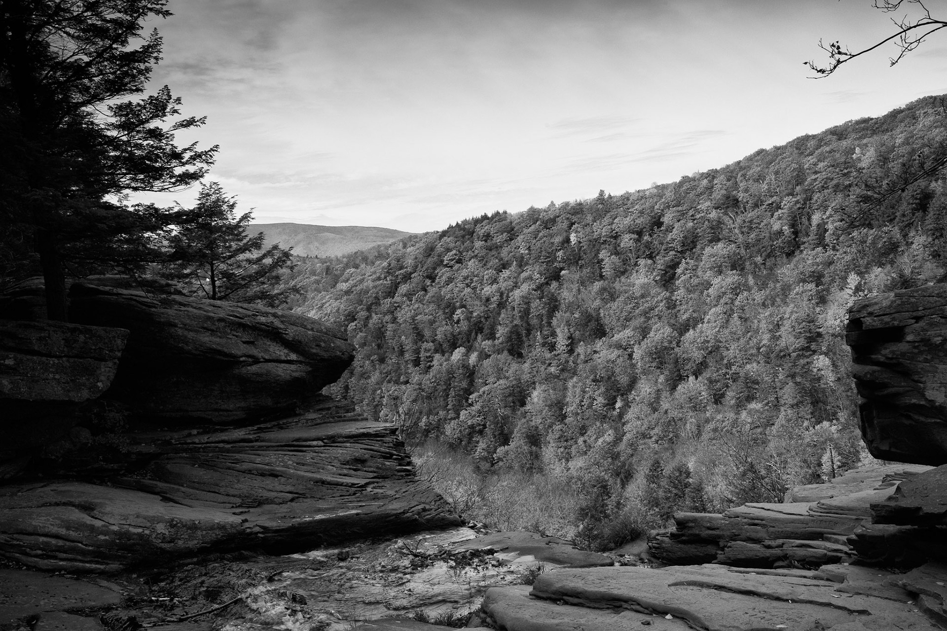 Black &amp; White 00131
