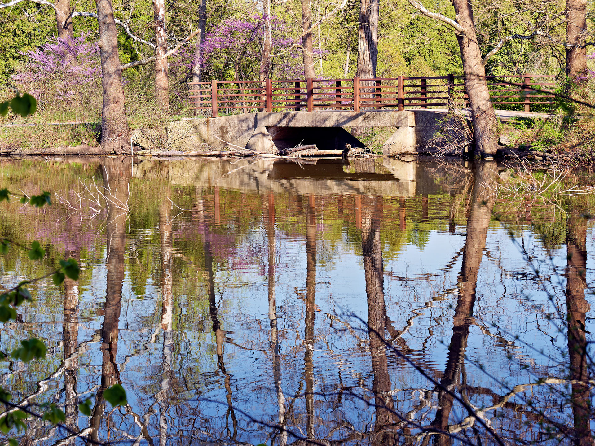 IL_Morton Arboretum_20180507_0834_PS