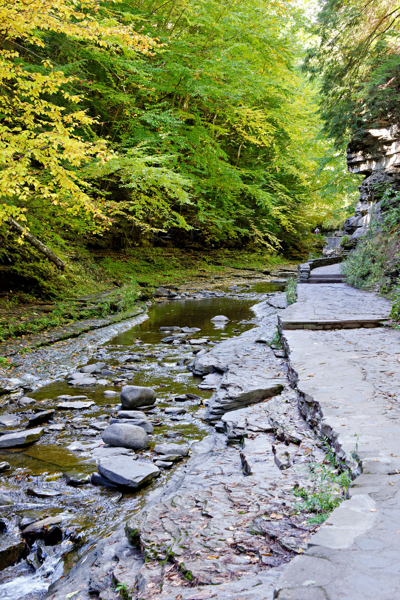 NY_FingerLakes_20120927_0224_PS