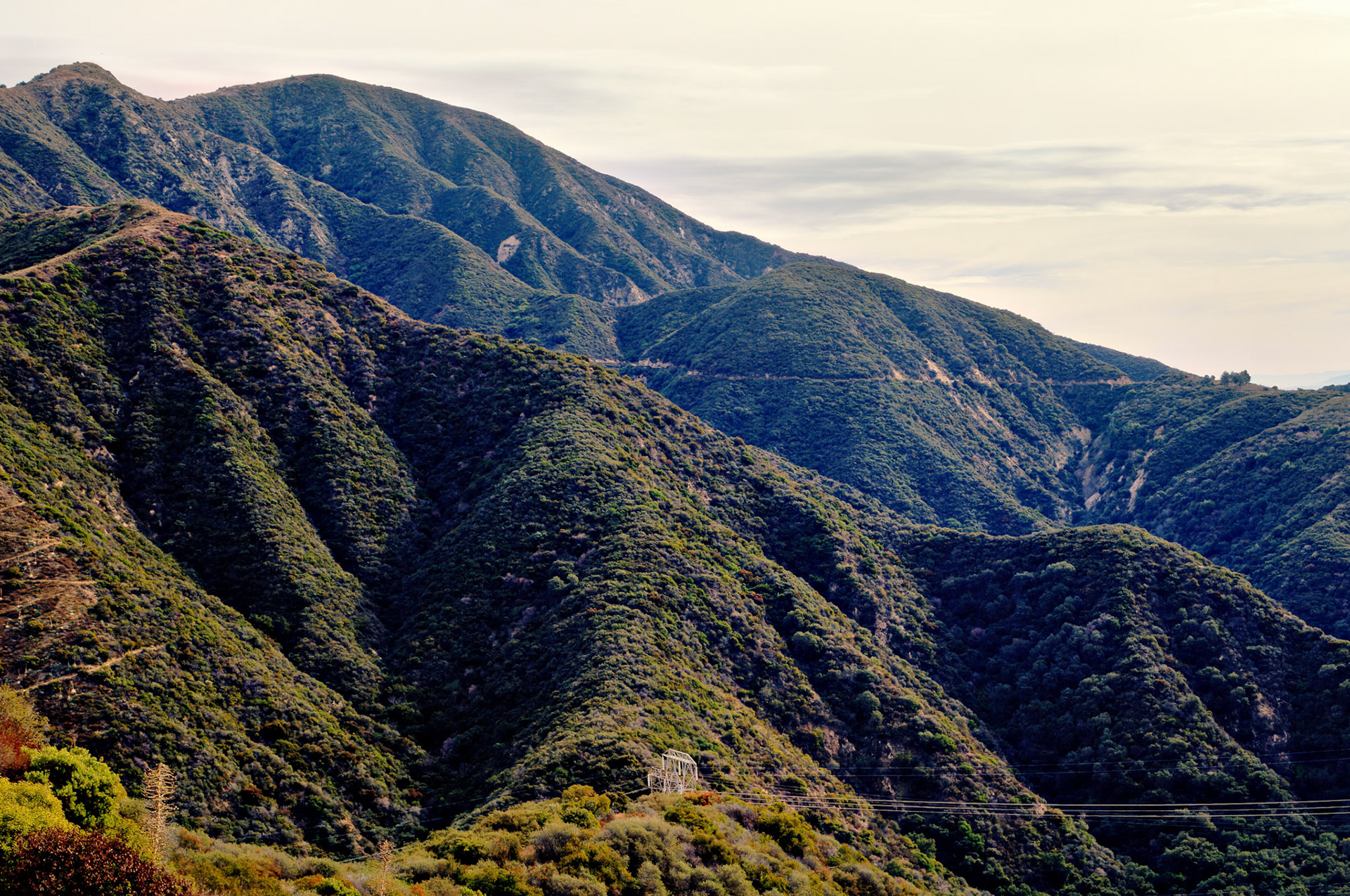 CA_LA_20051220_0222_PS