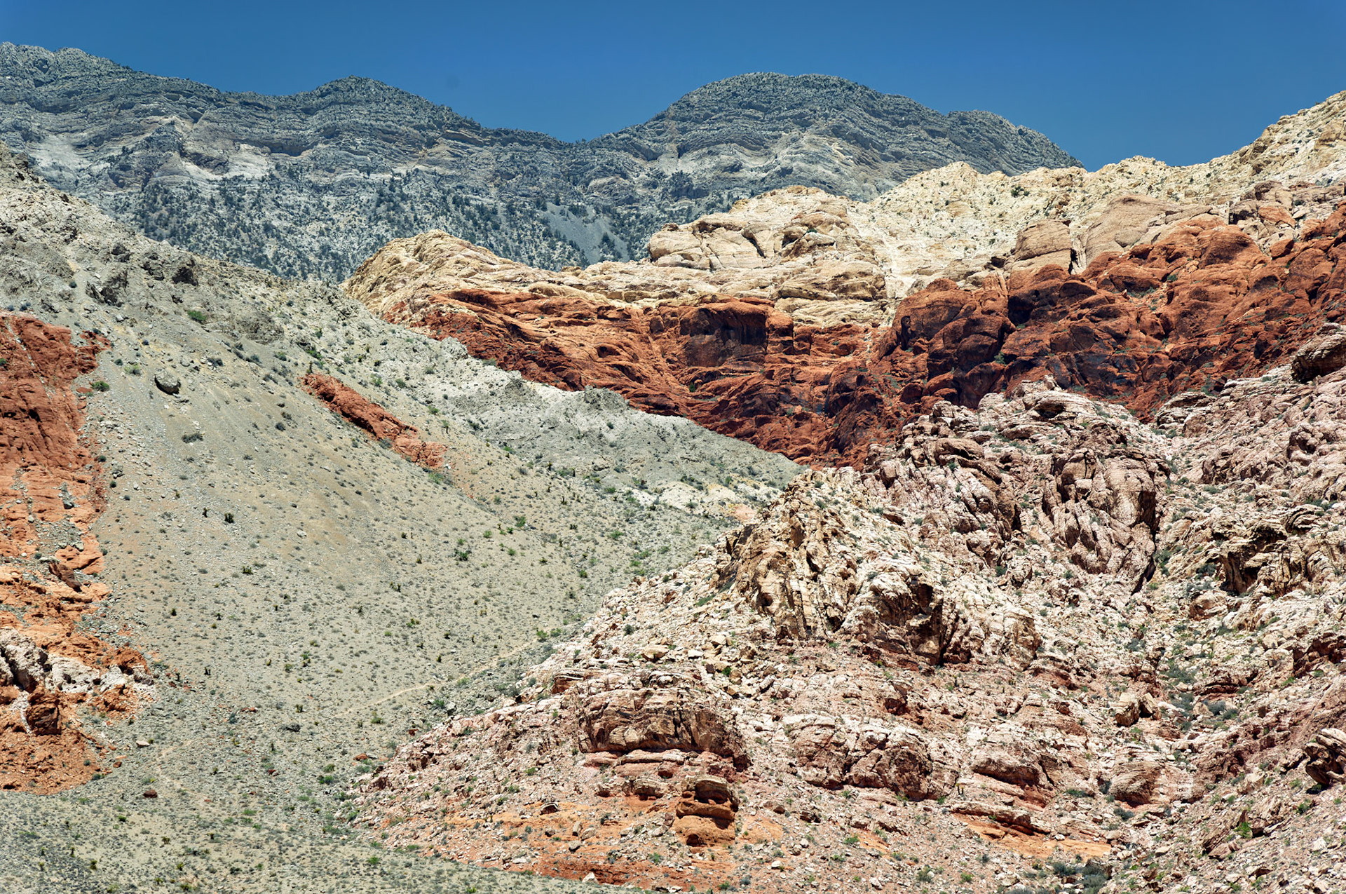 NV_20070531_0100_PS.tif