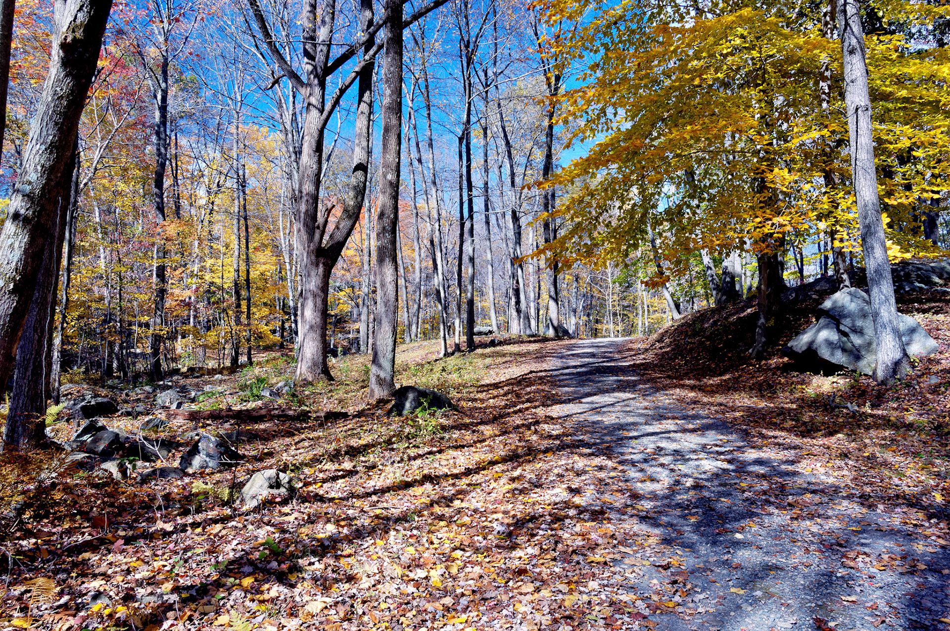 CT_20061021_0205_PS