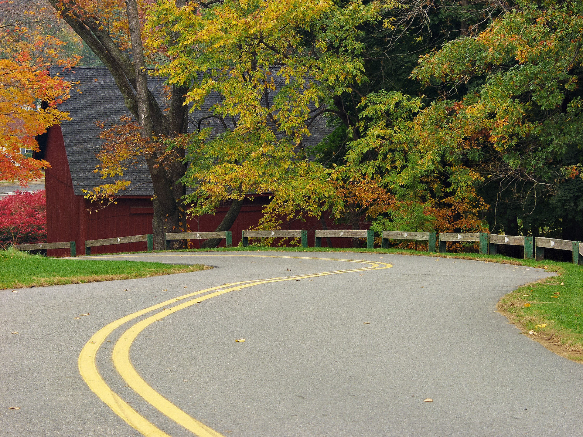 Fall