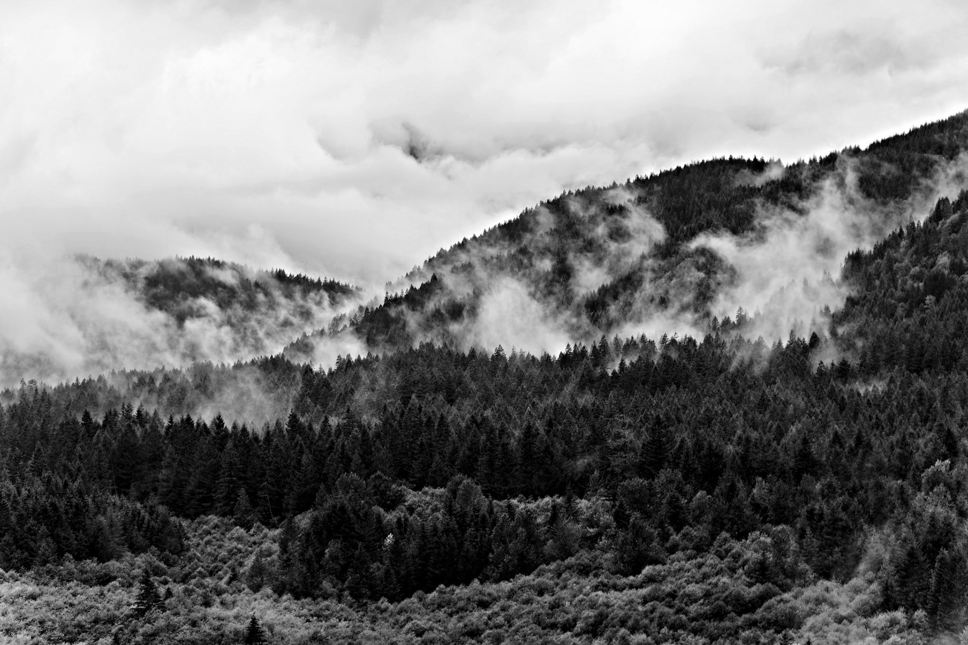 BW_OR_MtHood_20160918_0016_PS