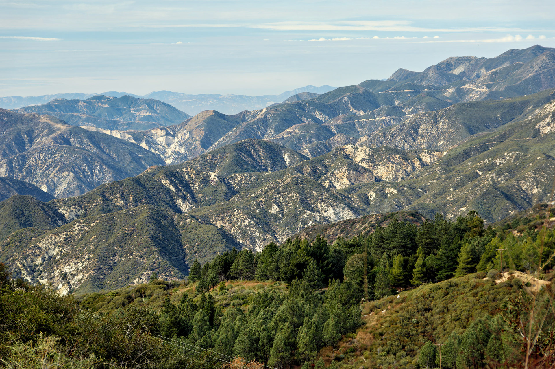 CA_LA_20051220_0273_PS