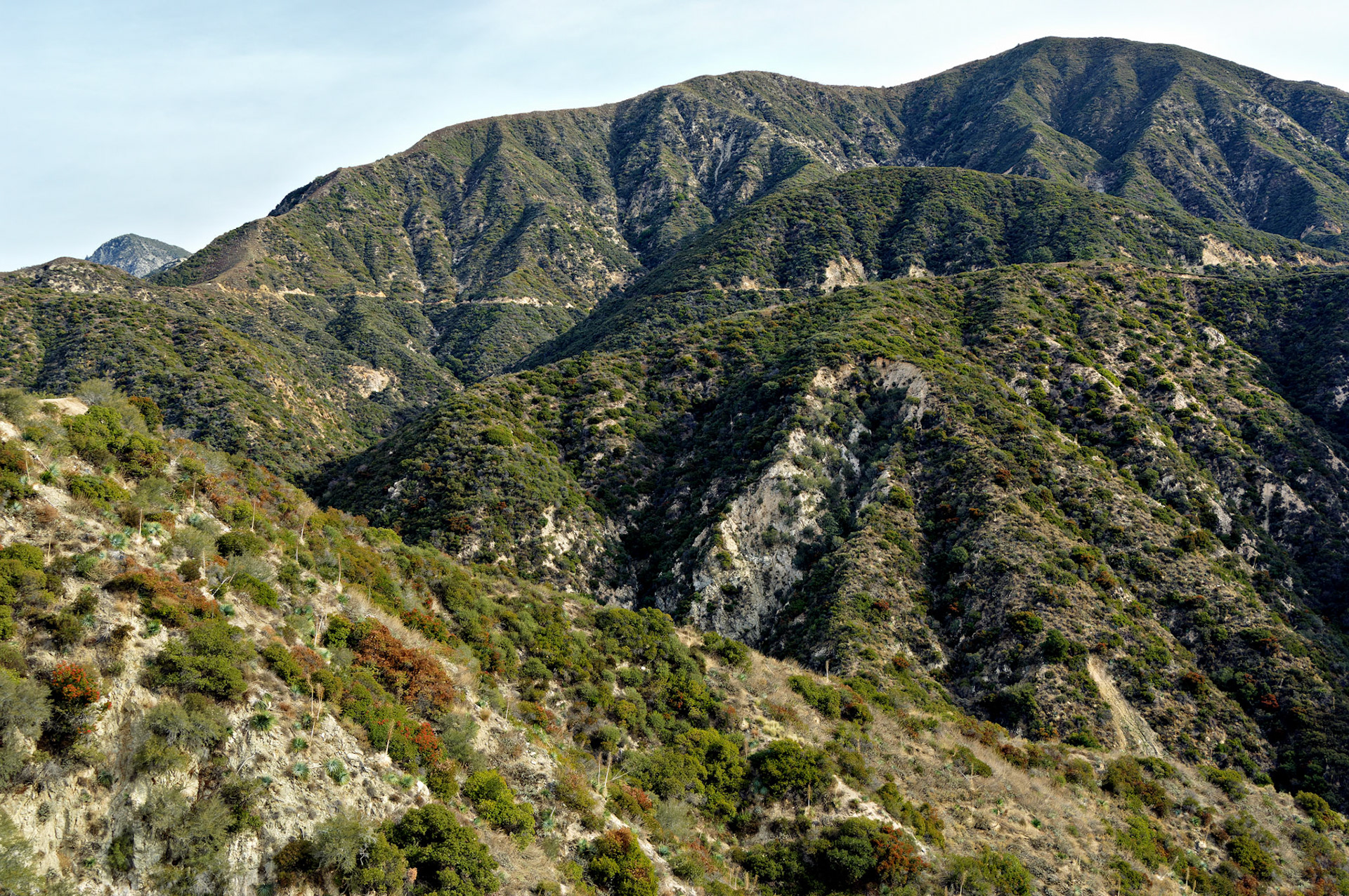CA_LA_20051220_0210_PS.dng