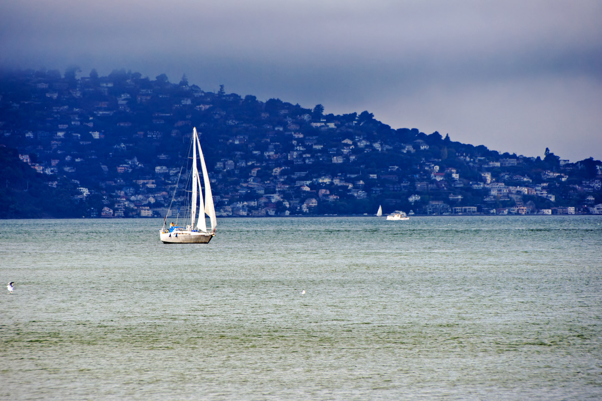 CA_SanFran_20071019_0204_PS