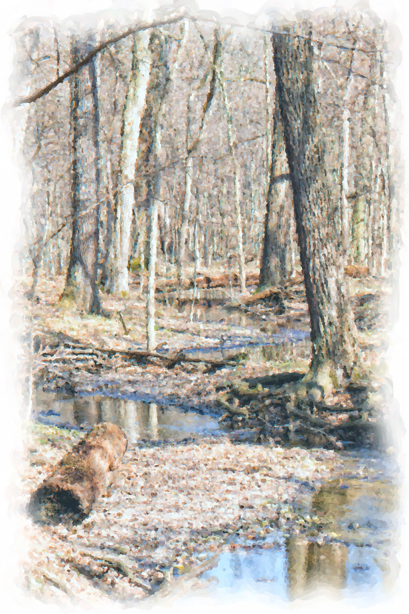 Painting_20150411MortonArboretum_4110423-Painting-1WCD