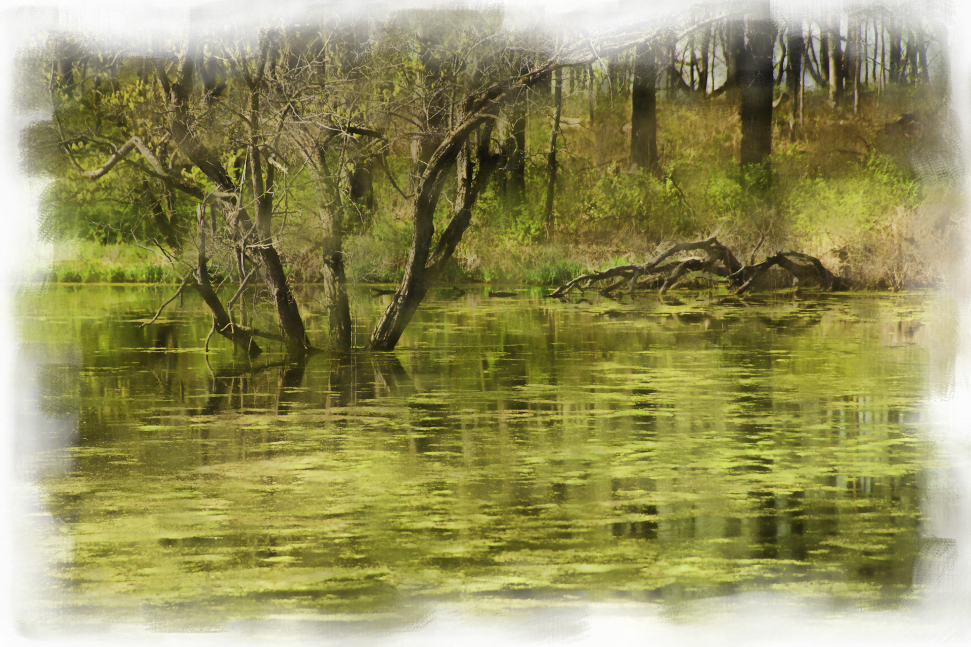 Painting__DSC5018-1_Painting
