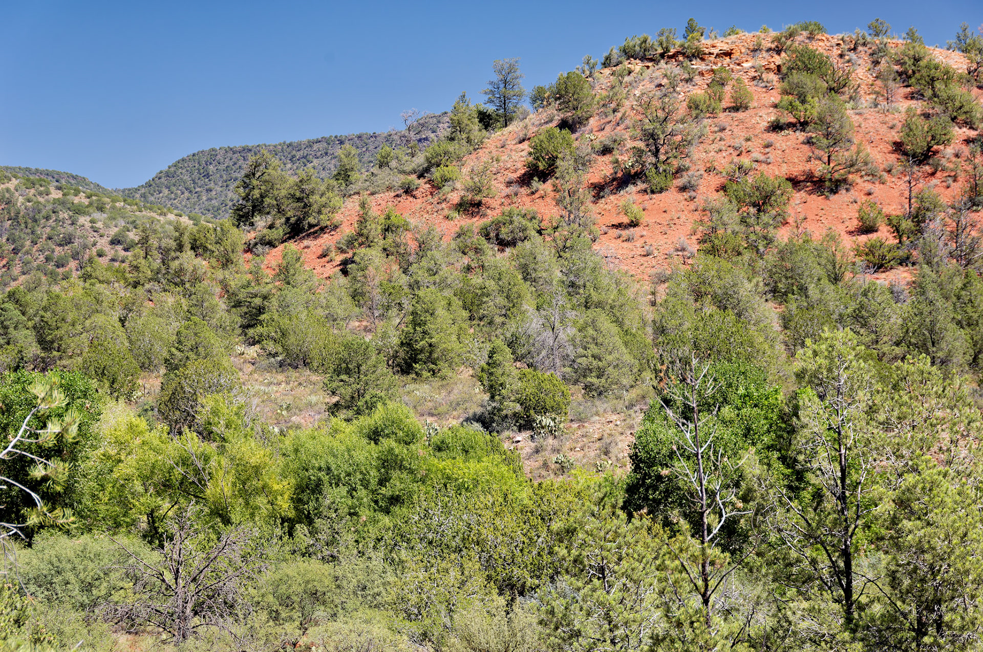 AZ_20060917_0055_PS.dng