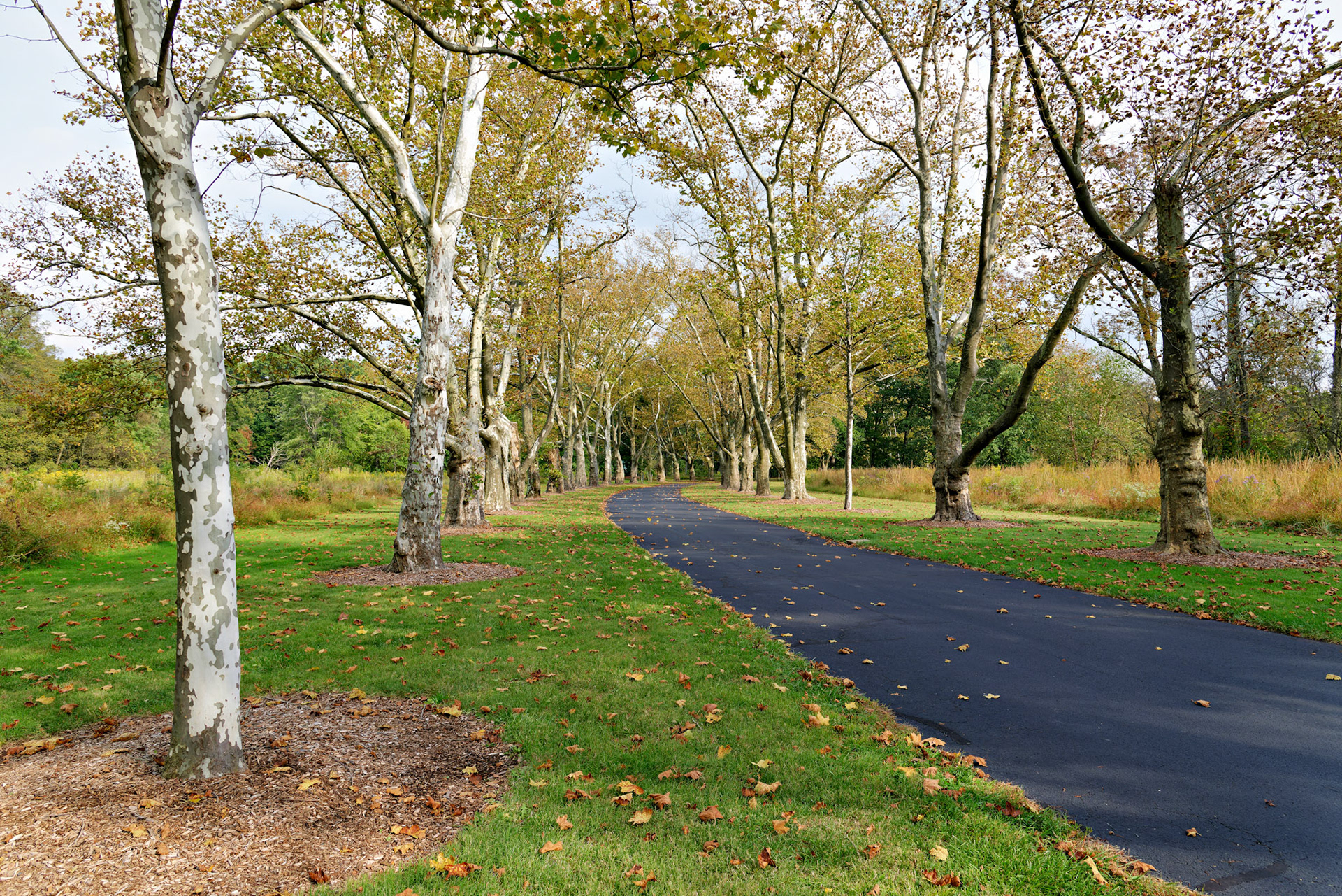 NJ_DukeEstate_20120928_0240_PS