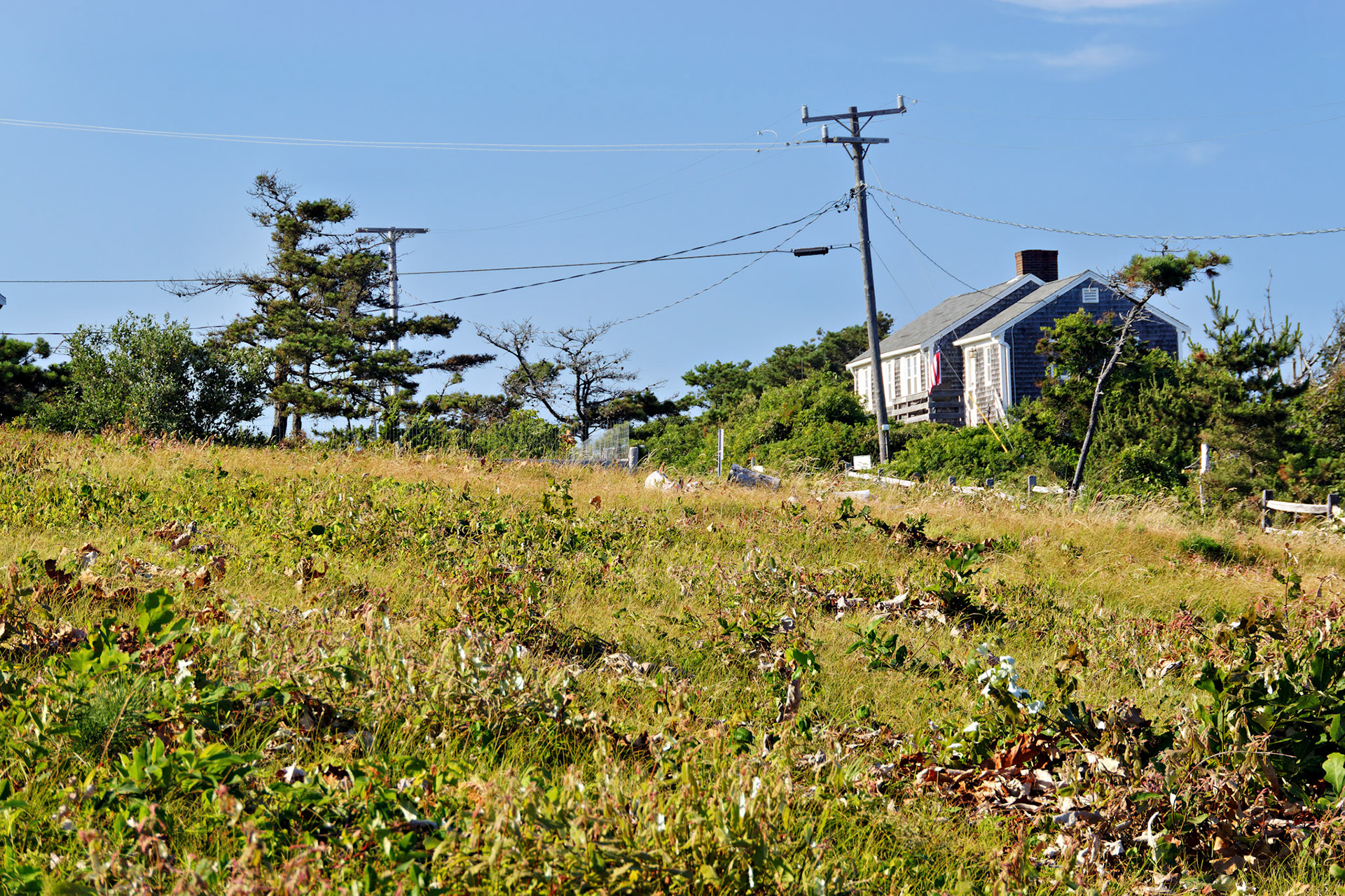 MA_CapeCod_20150716_0025_PS