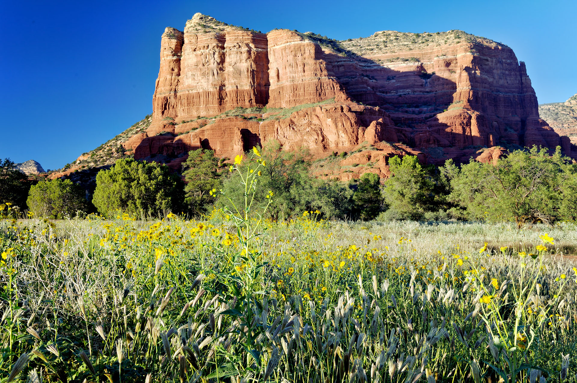 AZ_20060917_0145_PS.dng