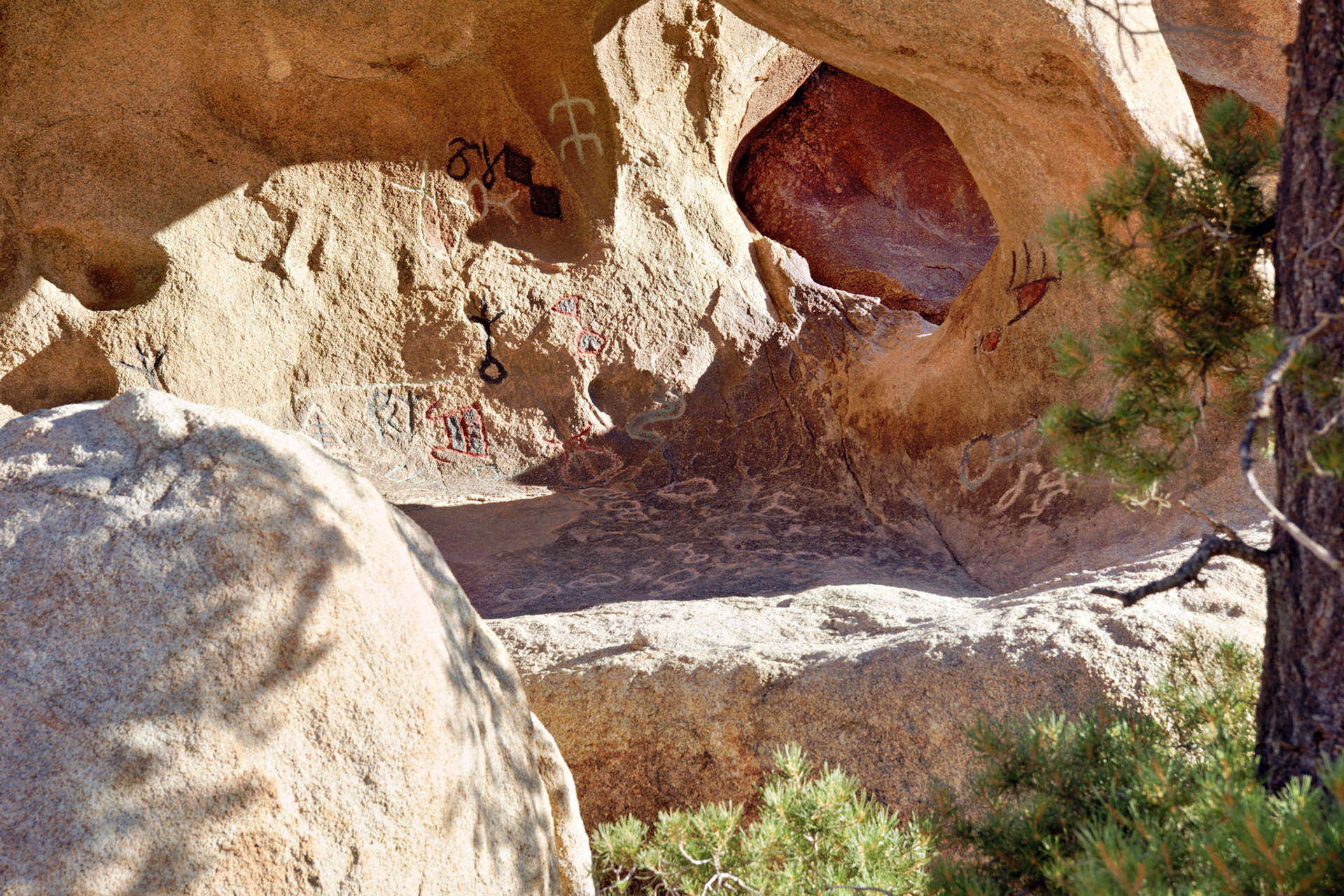 CA_JoshuaTree_20111114_0244_PS