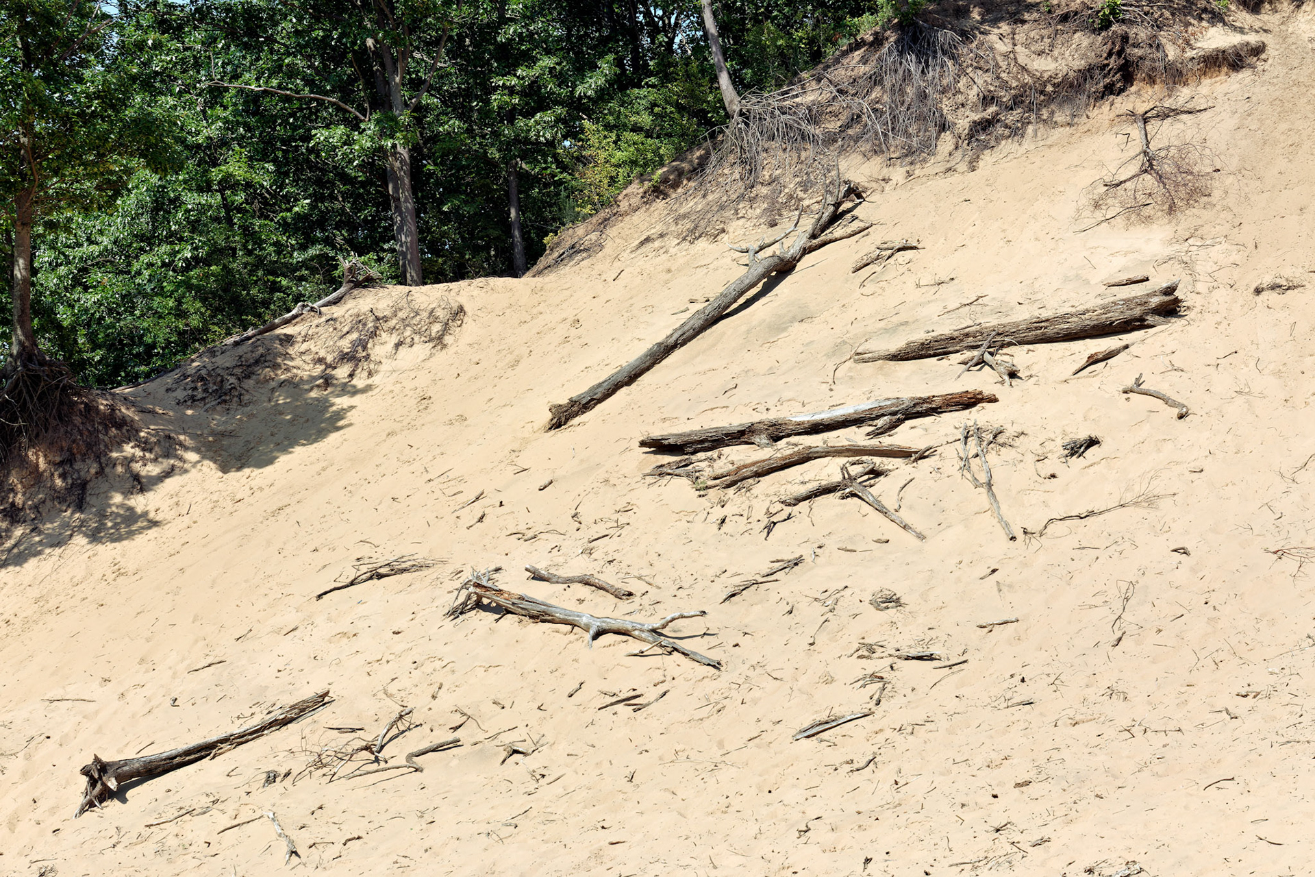 MI_New BuffaloArea_20170715_0230_PS