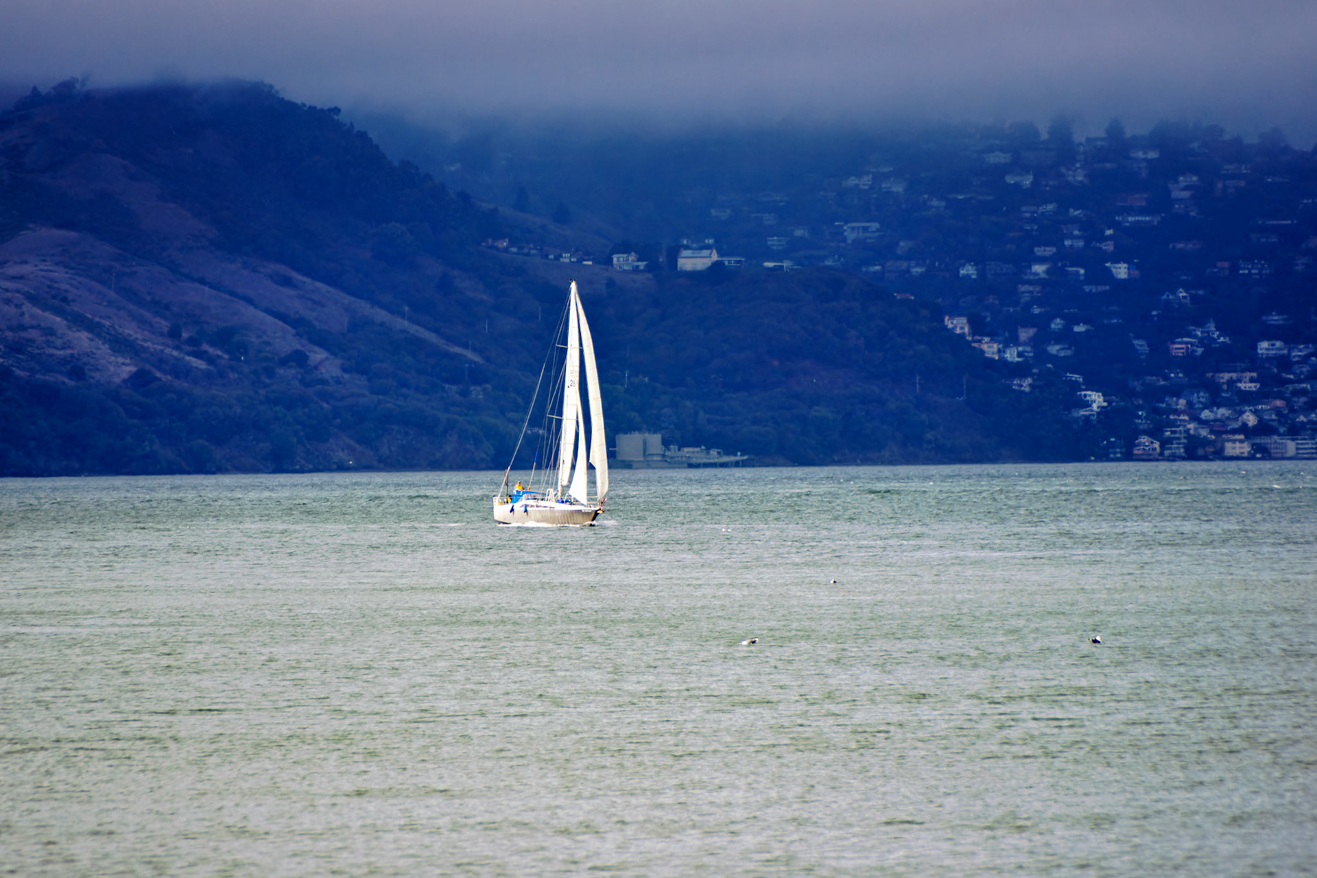 CA_SanFran_20071019_0202_PS