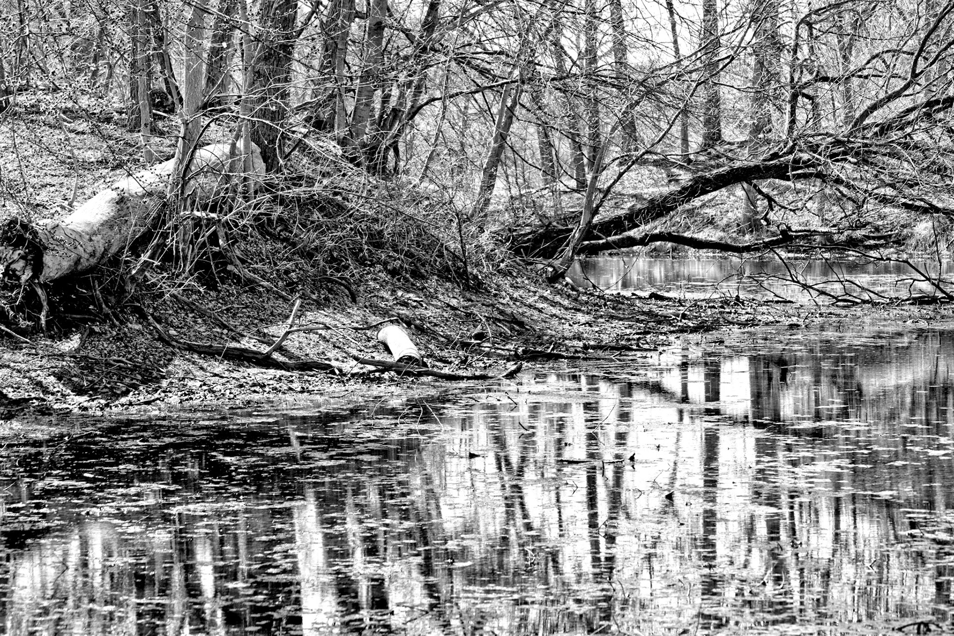 BW_20150402untitled20150402untitled_4020137