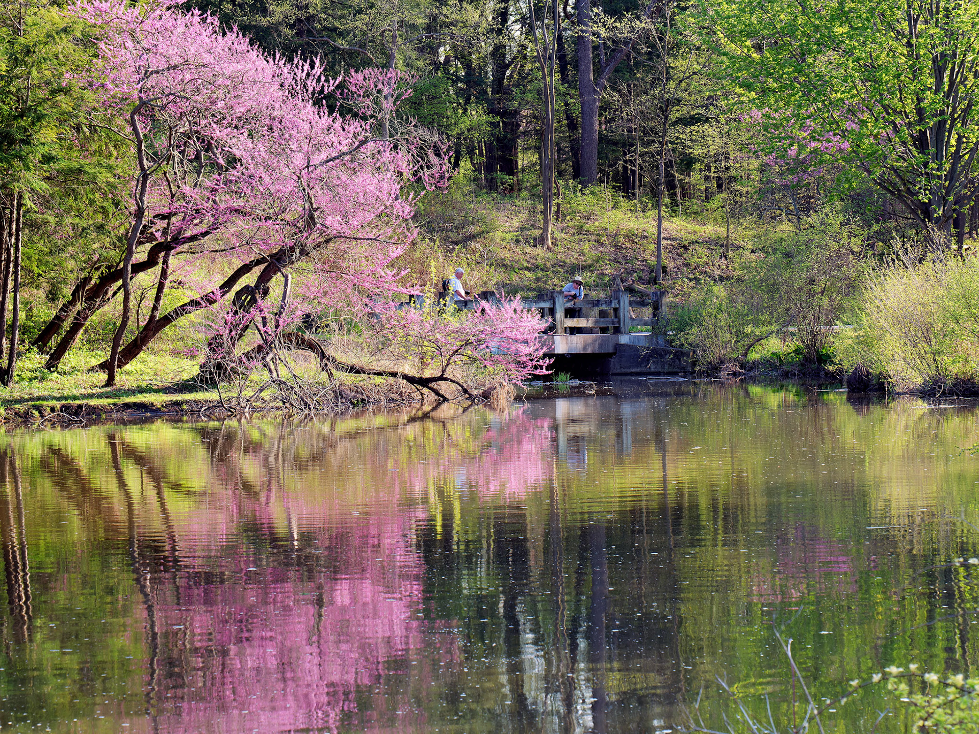 IL_Morton Arboretum_20180507_0859_PS