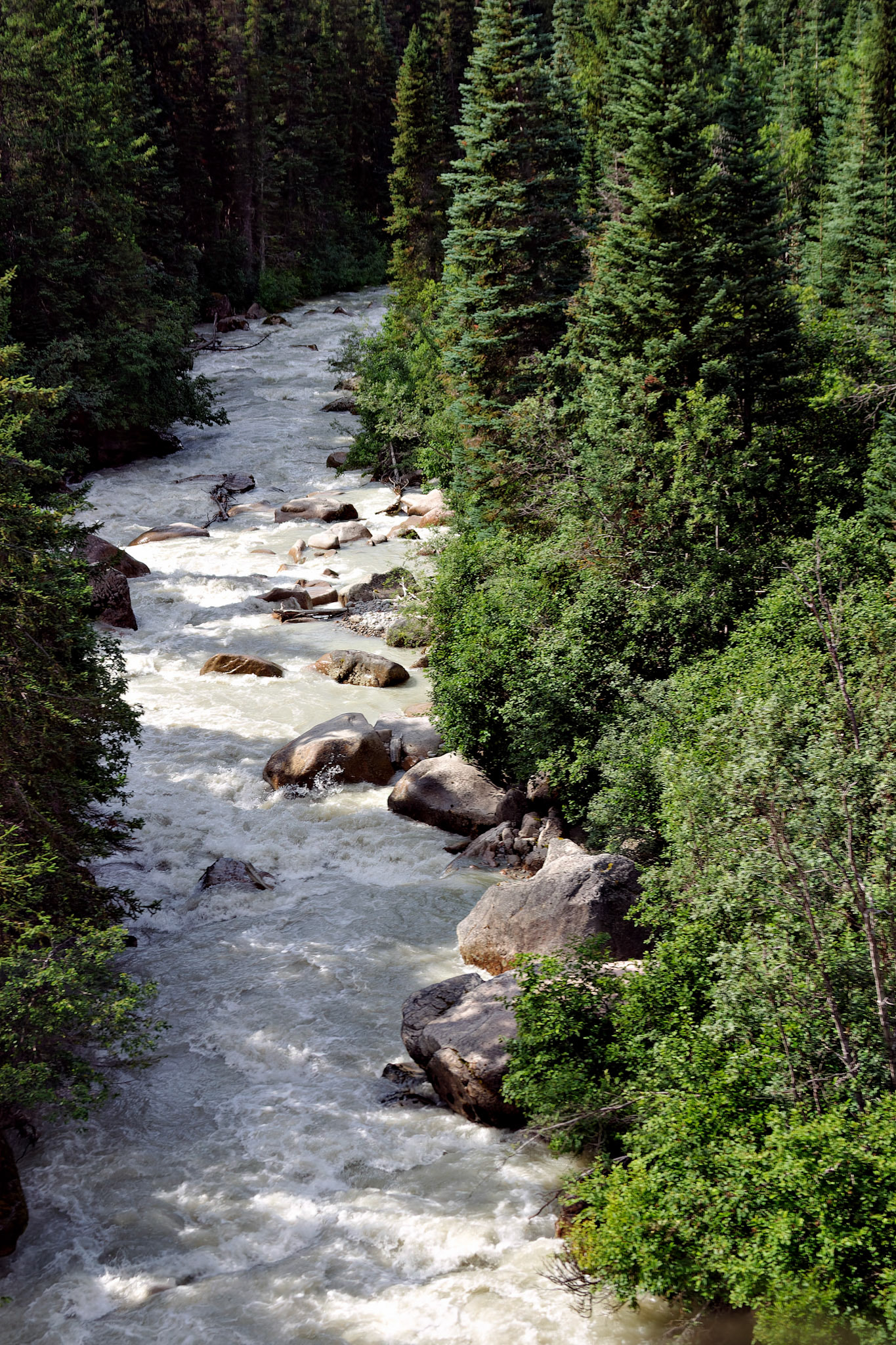 AK_20030801_0331_PS.dng