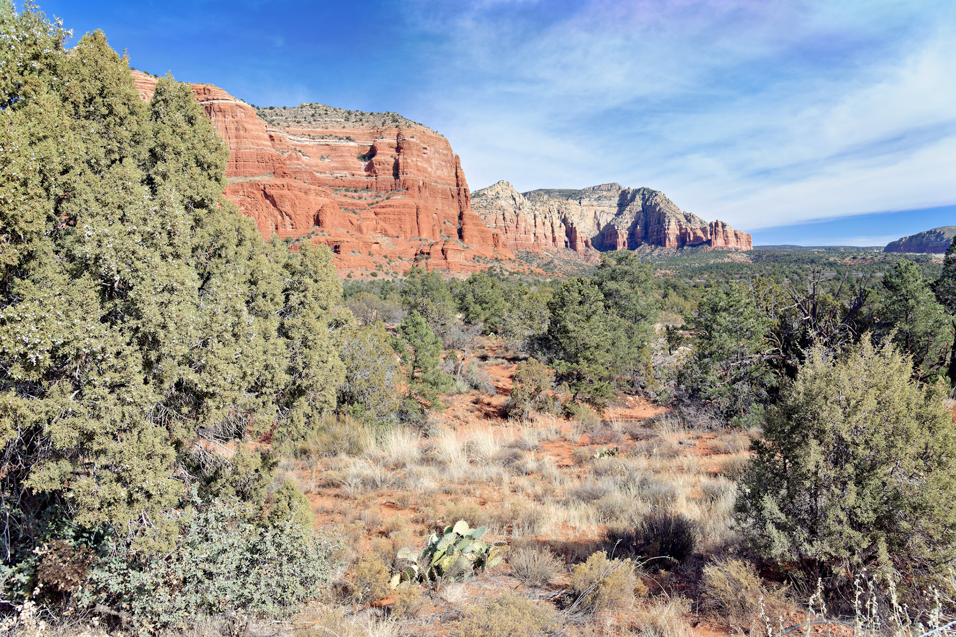 AZ_20121211_0594_PS.dng