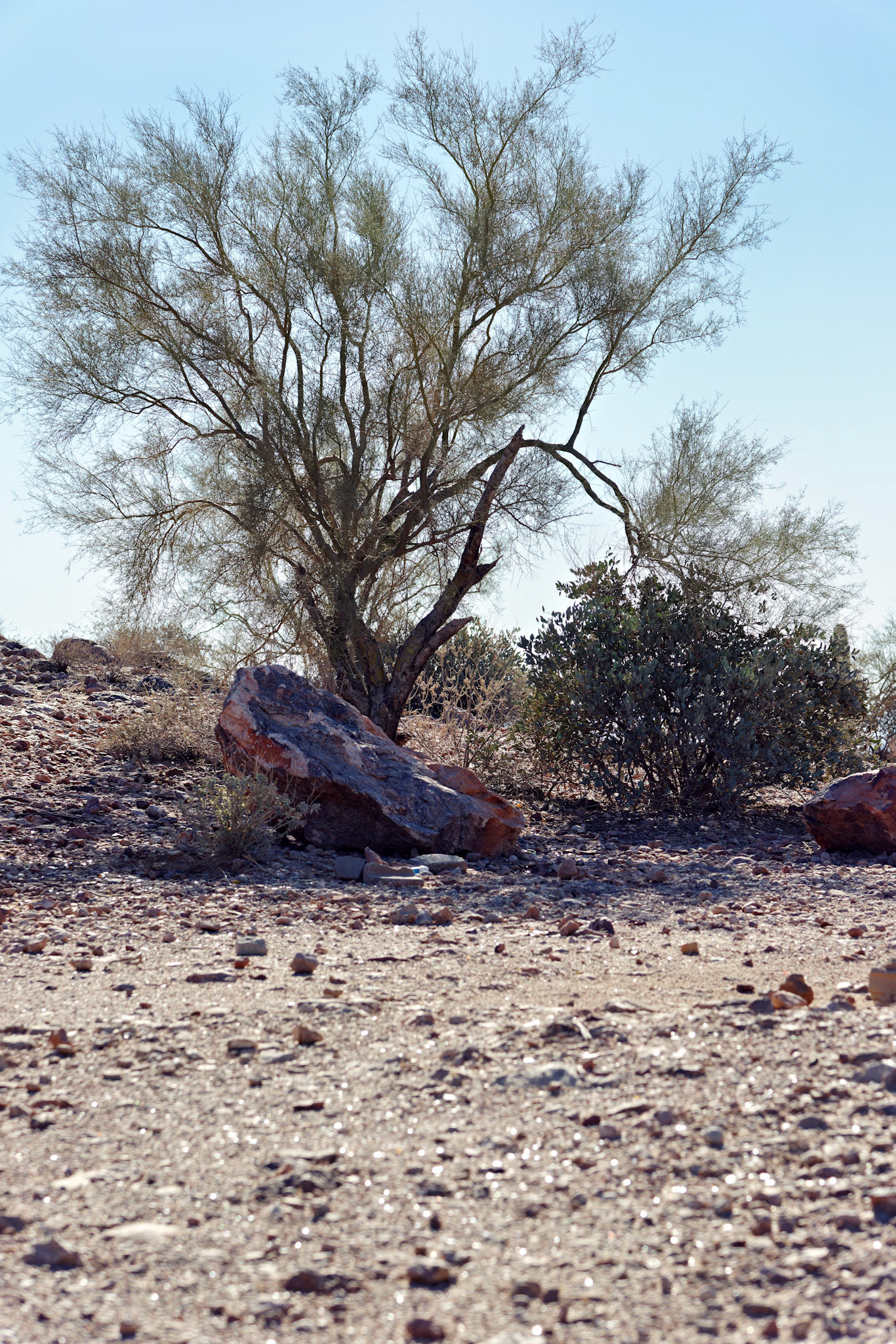 AZ_20121209_0314_PS.dng