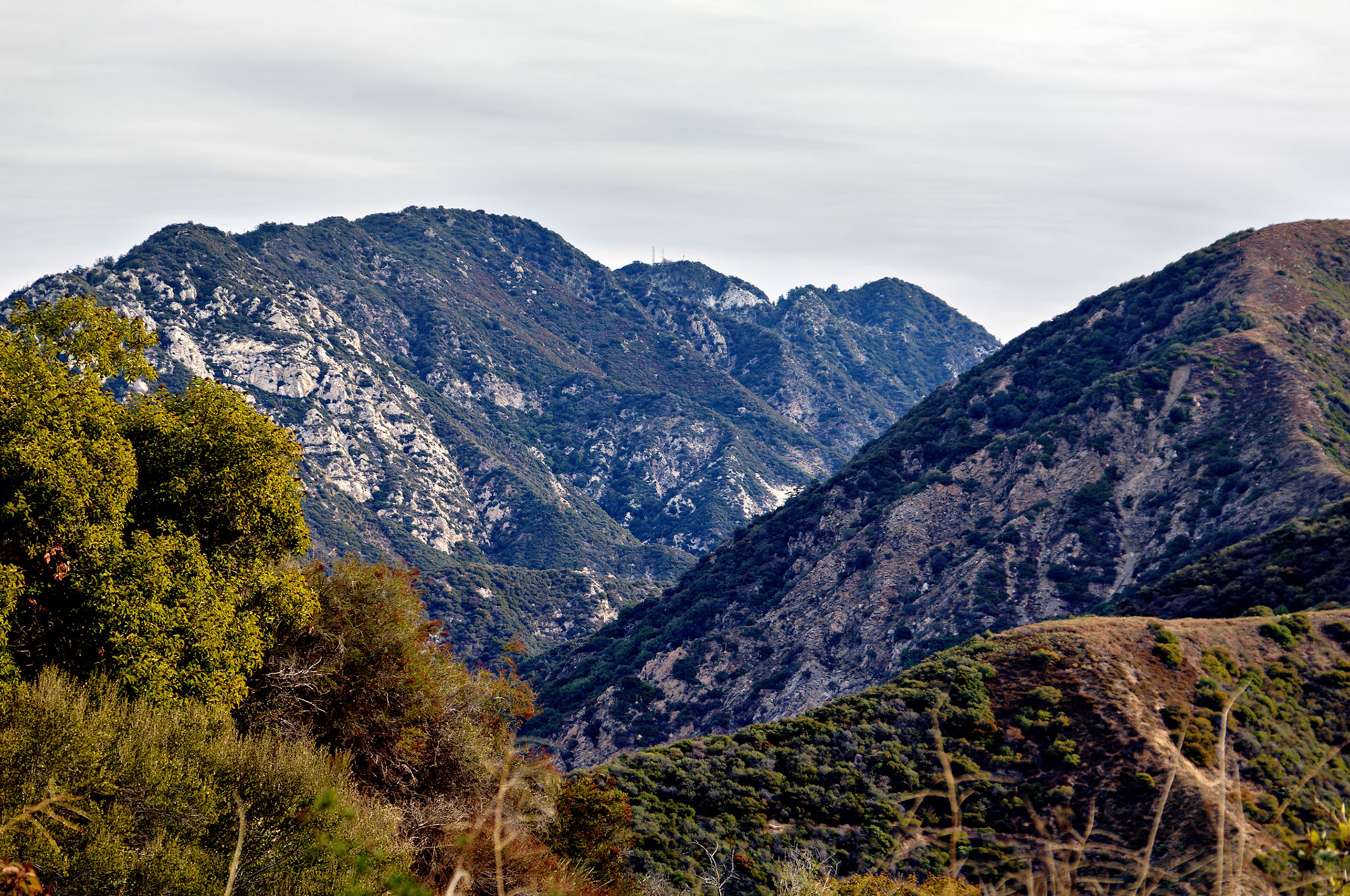 CA_LA_20051220_0228_PS