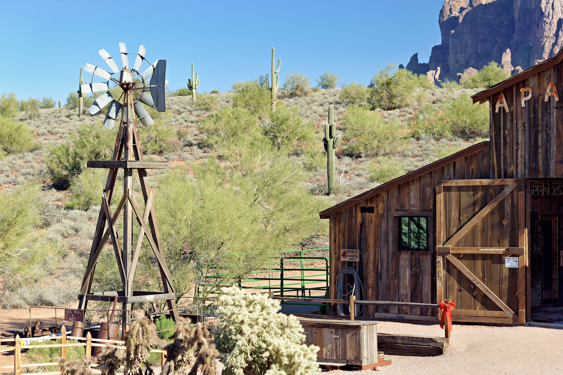 AZ_20121209_0326_PS.dng