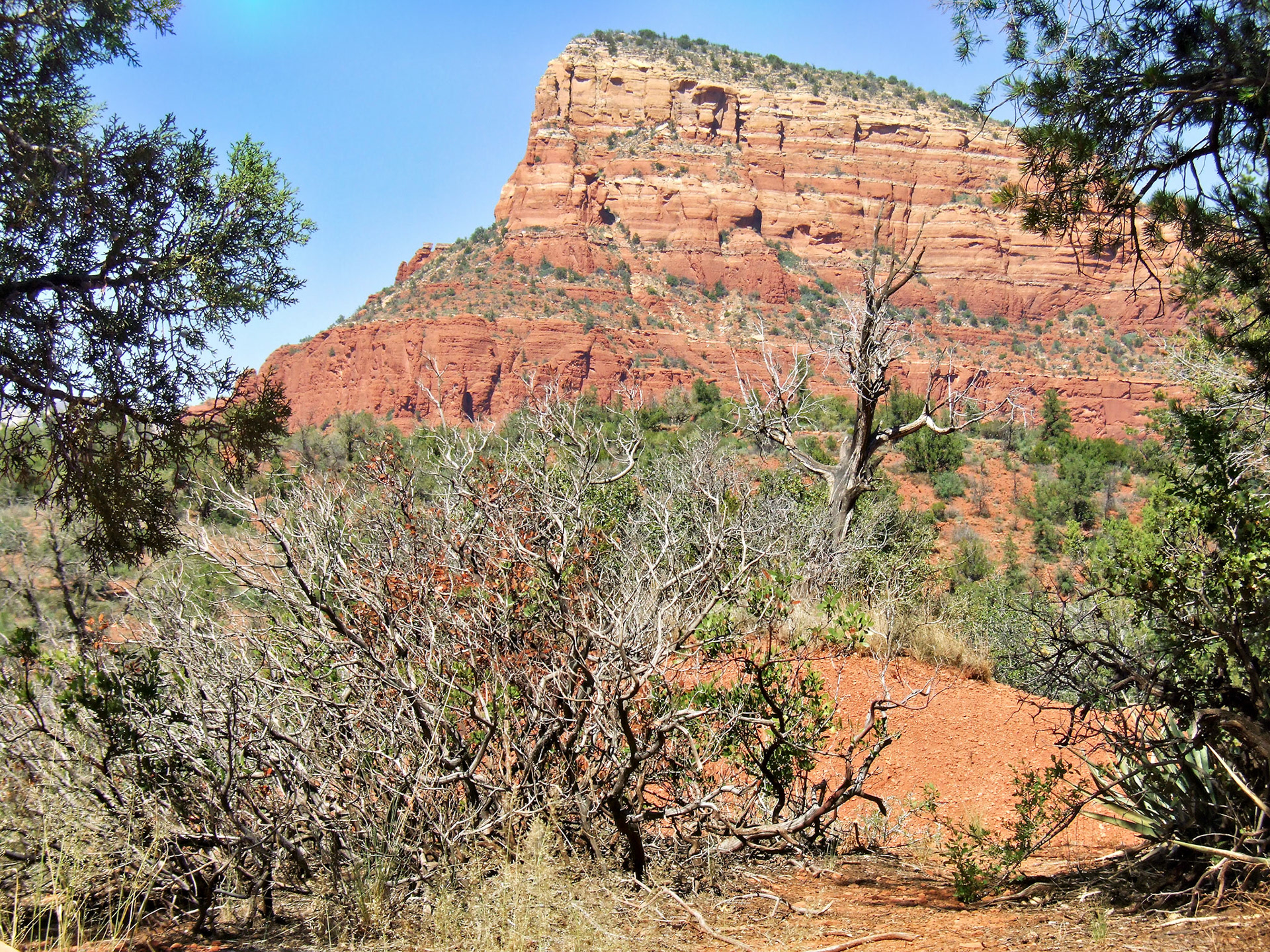 AZ_20060917_0781_PS.dng